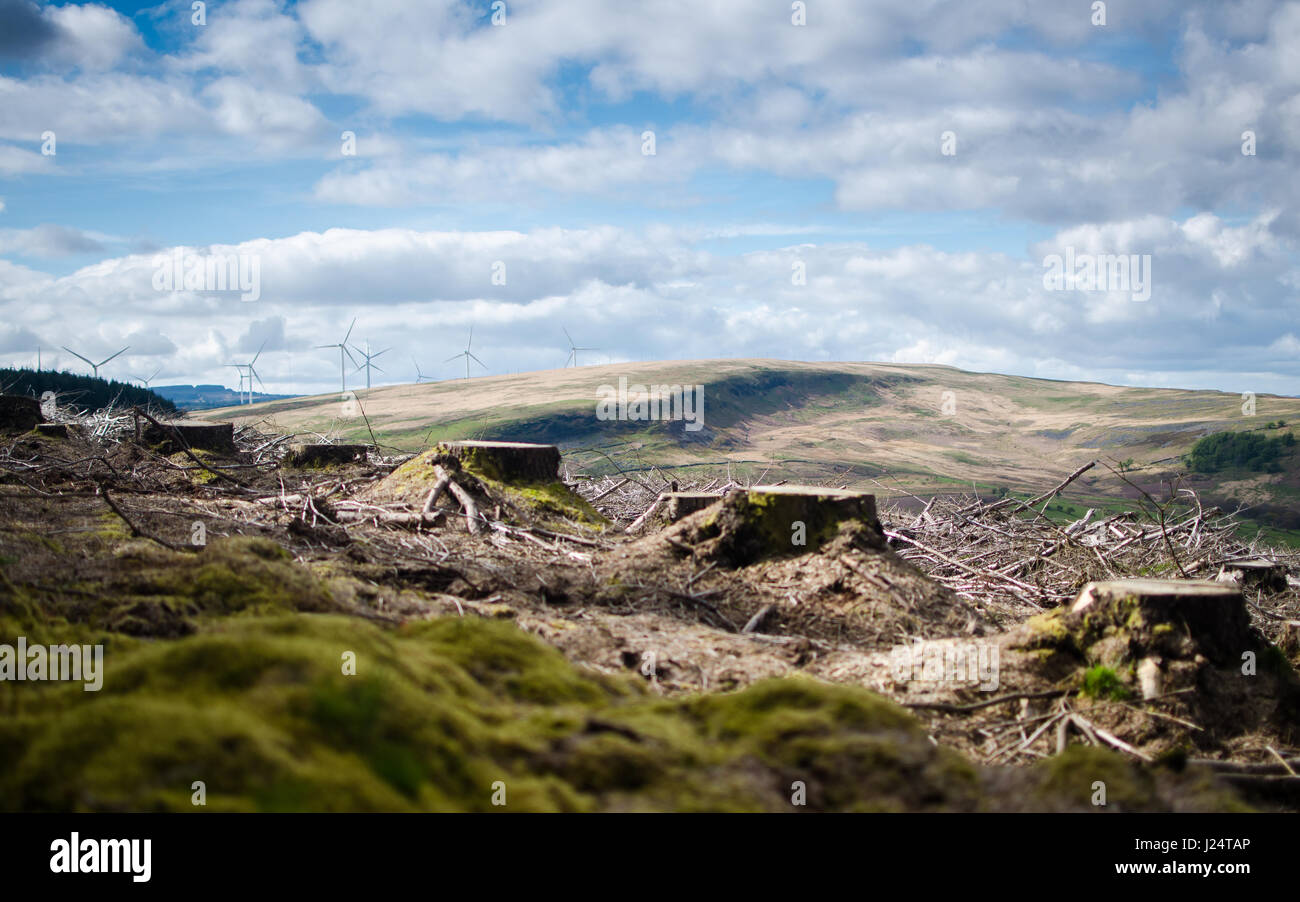 Die Gower-Landschaften Stockfoto