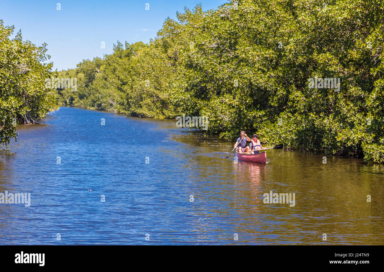 Kanufahren auf dem Buttonwood-Kanal im Bereich des Everglades National Park Florida Flamingo Stockfoto