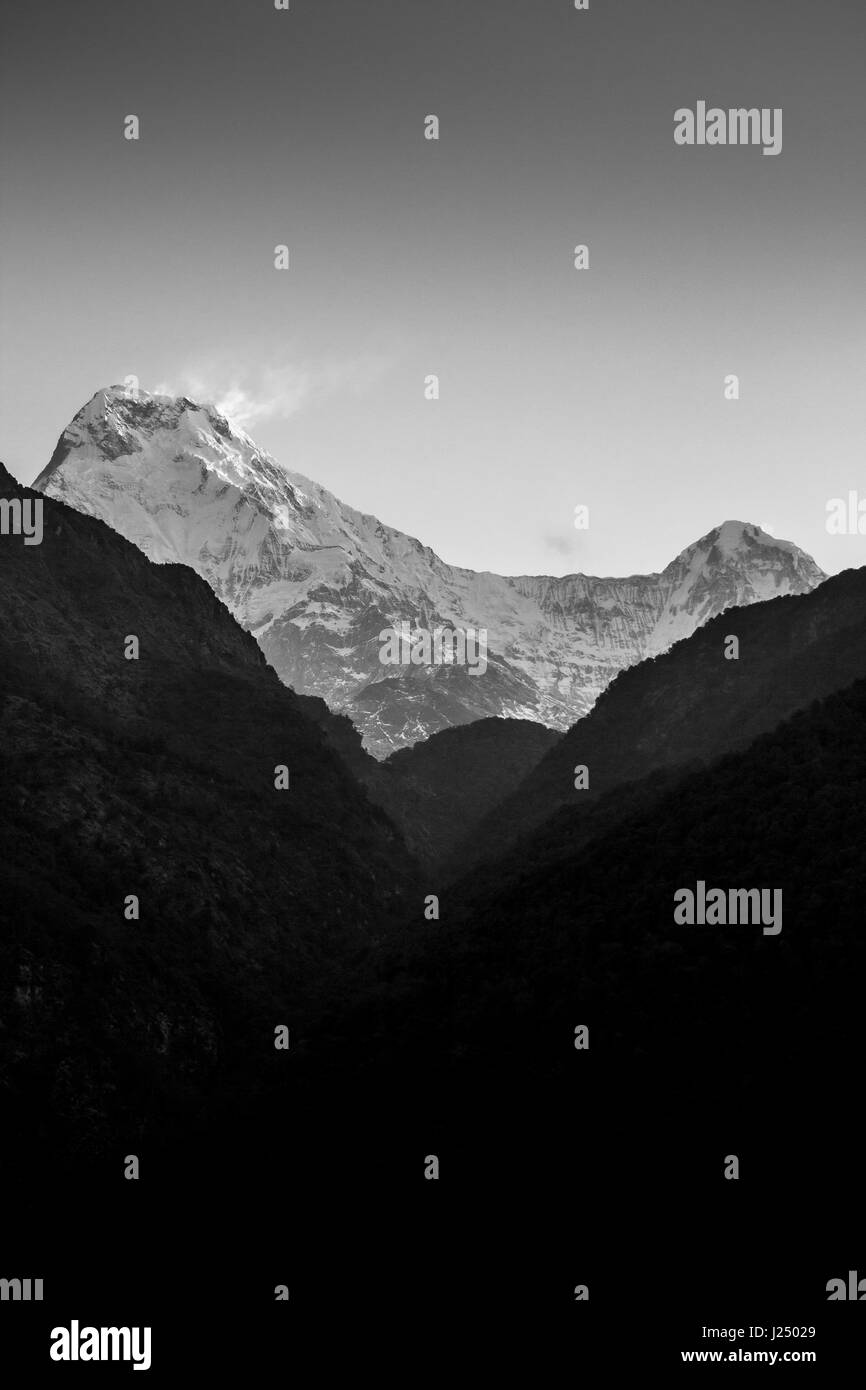 Nepal, März 2017: Die Gipfel der Annapurna-Süd und Hiunchuli durch das Tal nach oben aus dem Dorf Ulleri bei Sonnenaufgang in schwarz aus gesehen ein Stockfoto