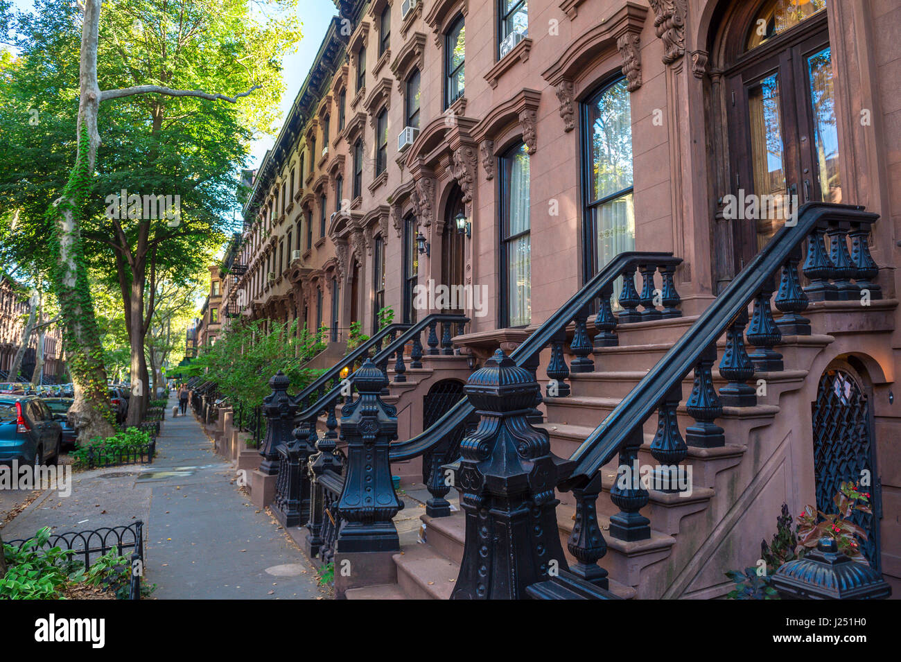 Grünen Sommer Blick auf Zeile von neigt auf einem traditionellen Brownstone-Block in einem gehobenen Viertel in Brooklyn, New York City Stockfoto