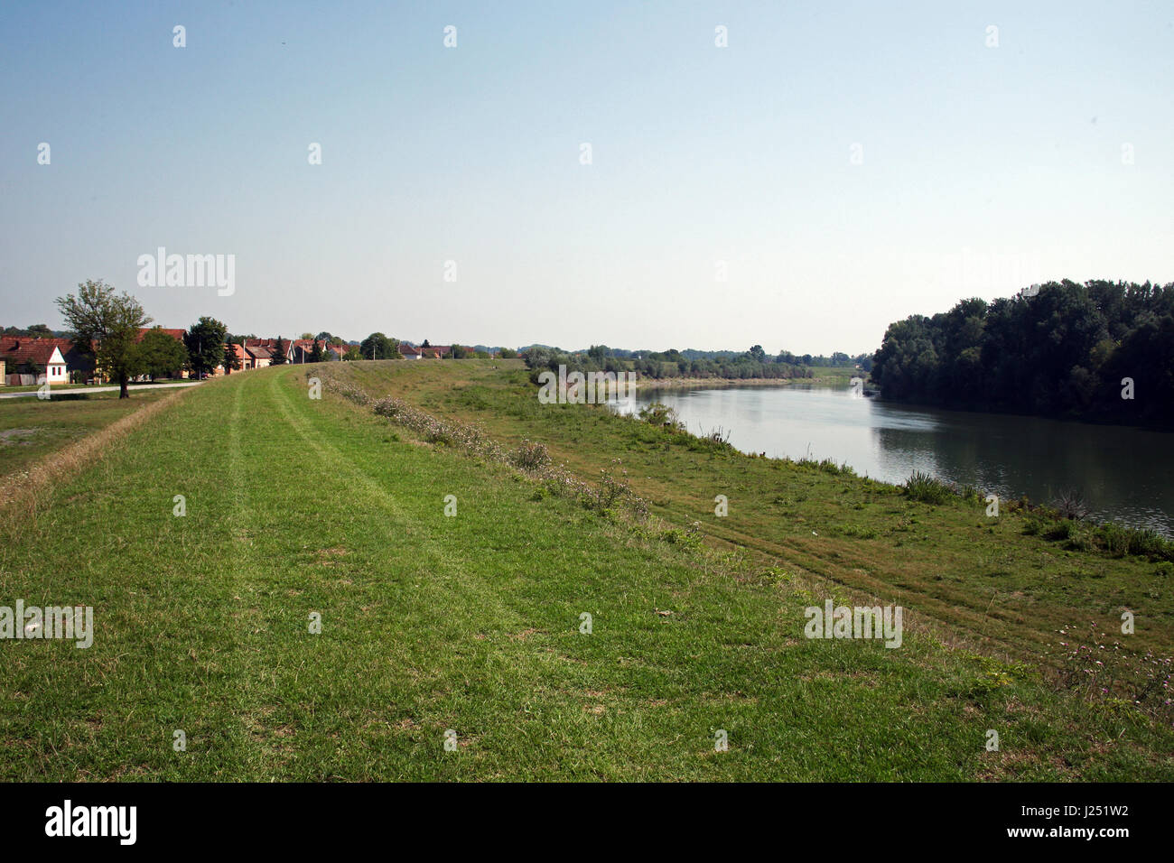 Slawonien, Details, Ufer des Flusses Sava, Kroatien, Europa, 5 Stockfoto