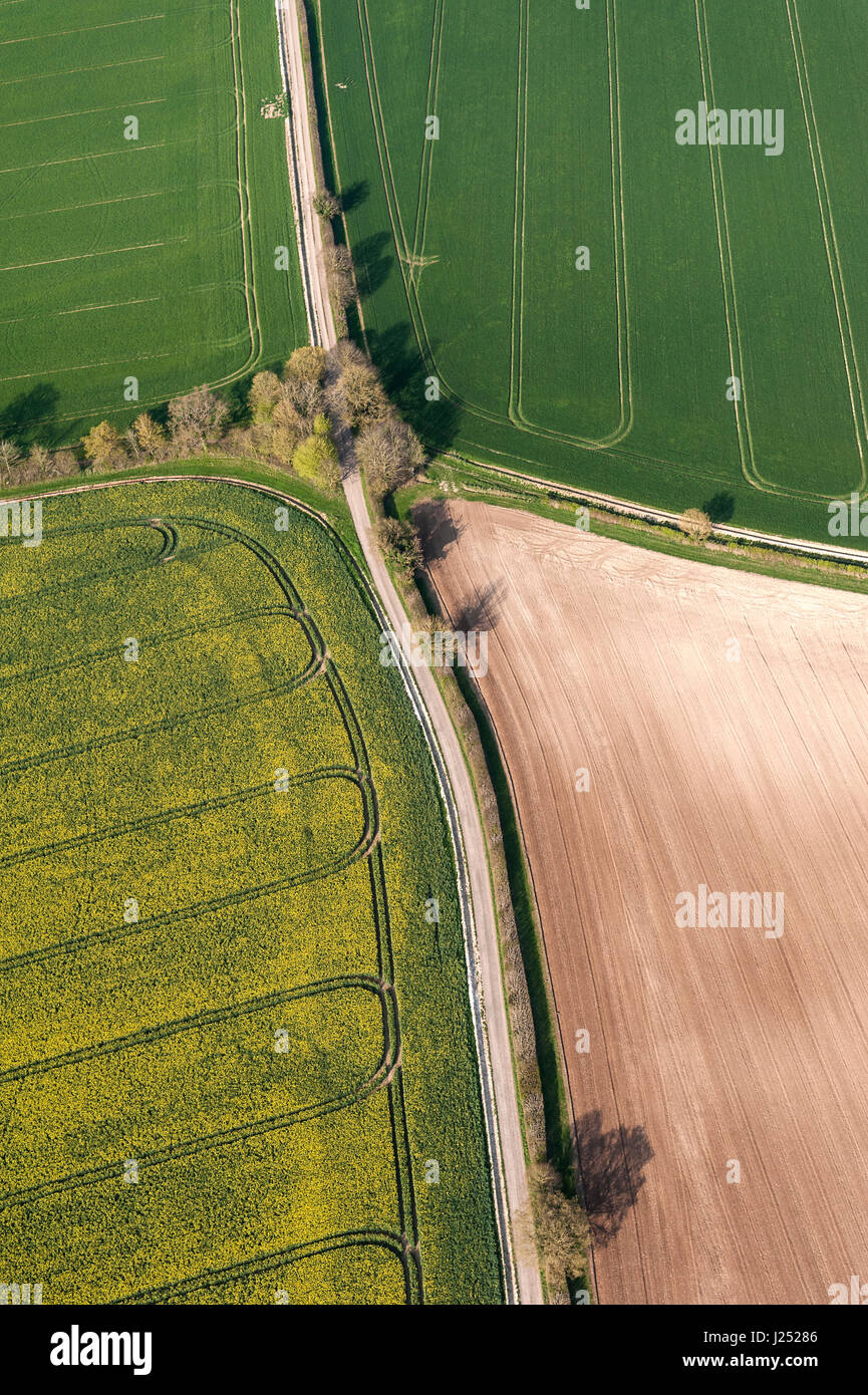 Luftaufnahme von landwirtschaftlichen Kulturpflanzen und Ackerland Stockfoto