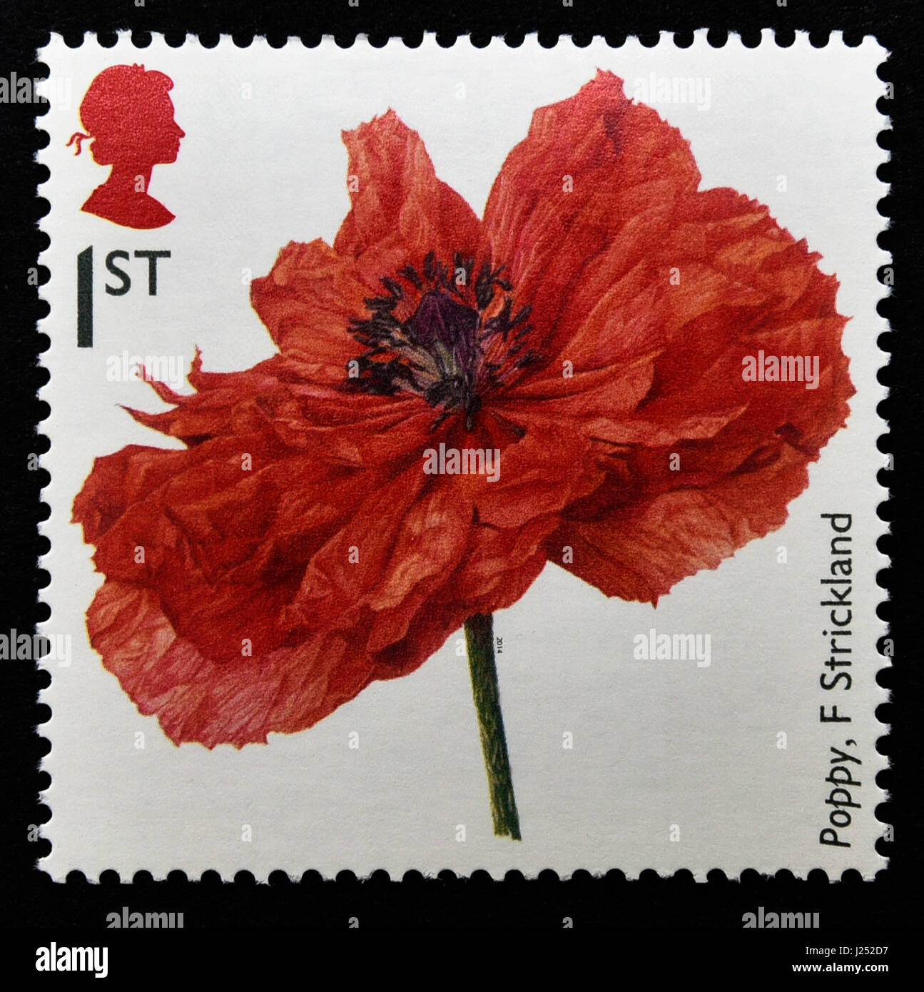 Briefmarke. Great Britain. Königin Elizabeth II. 2014. des ersten Weltkriegs 1914 Souvenirs. Mohn von Fiona Strickland. Stockfoto