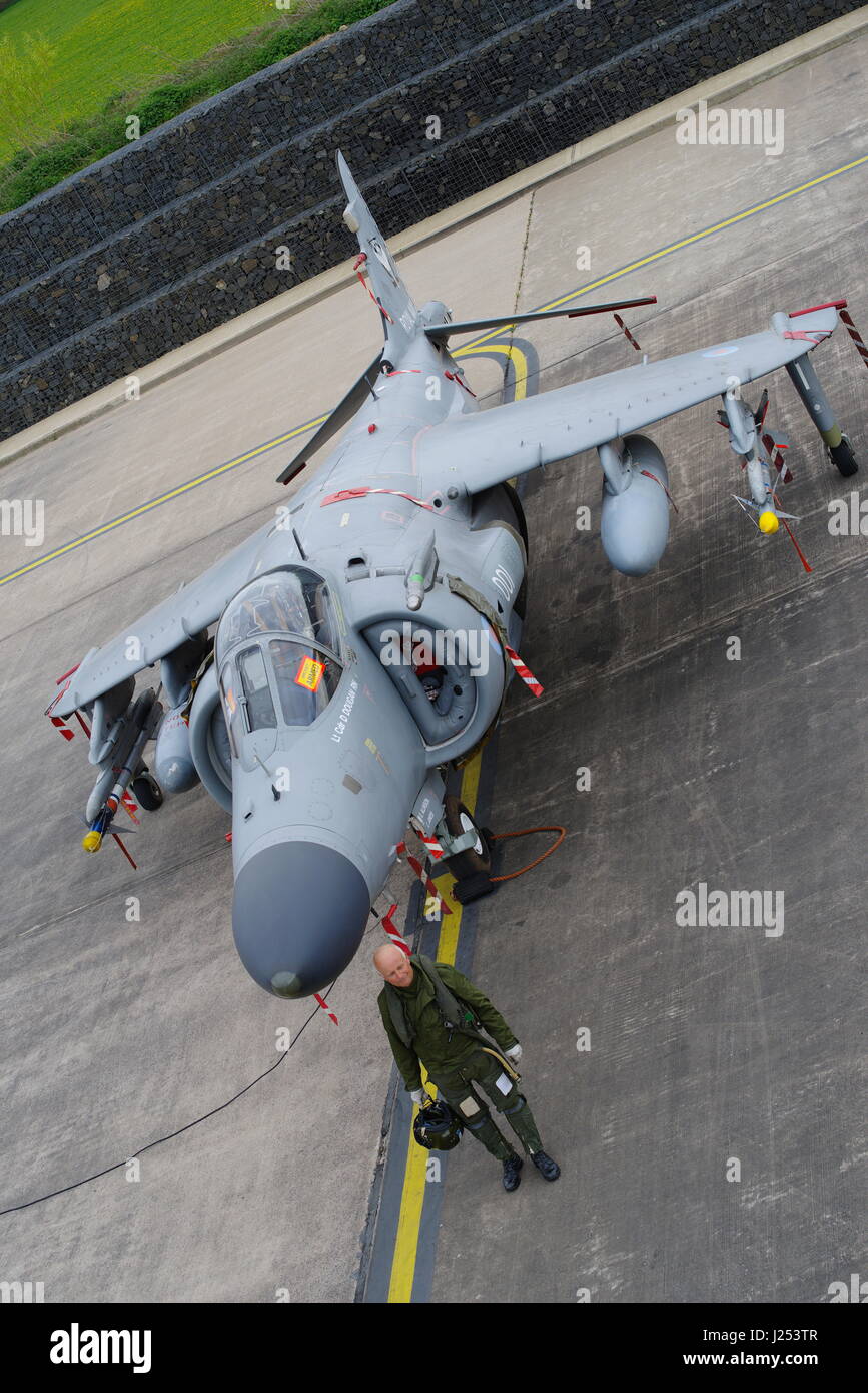 BAE Sea Harrier FA 2, ZH796 bei RAF Cosford, Stockfoto