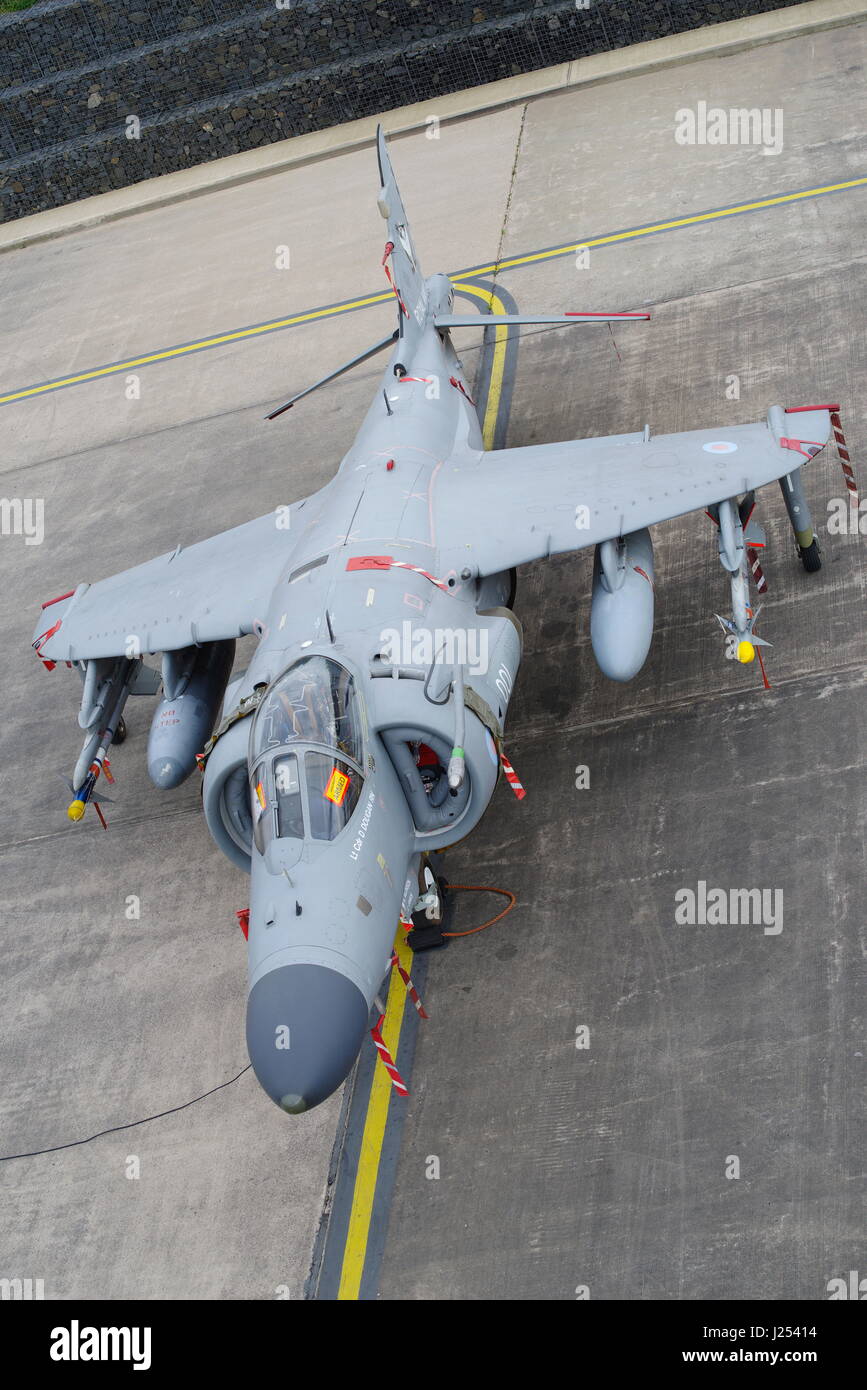 BAE Sea Harrier FA 2, ZH796 bei RAF Cosford, Stockfoto