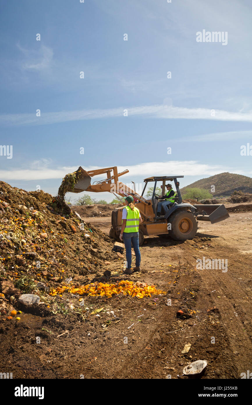 Tucson, Arizona - der Kompost-Katzen, eine Universität von Arizona studentische Organisation, Kompost Verschwendung von Lebensmitteln aus der Stadt Tucson von Landf umleiten Stockfoto