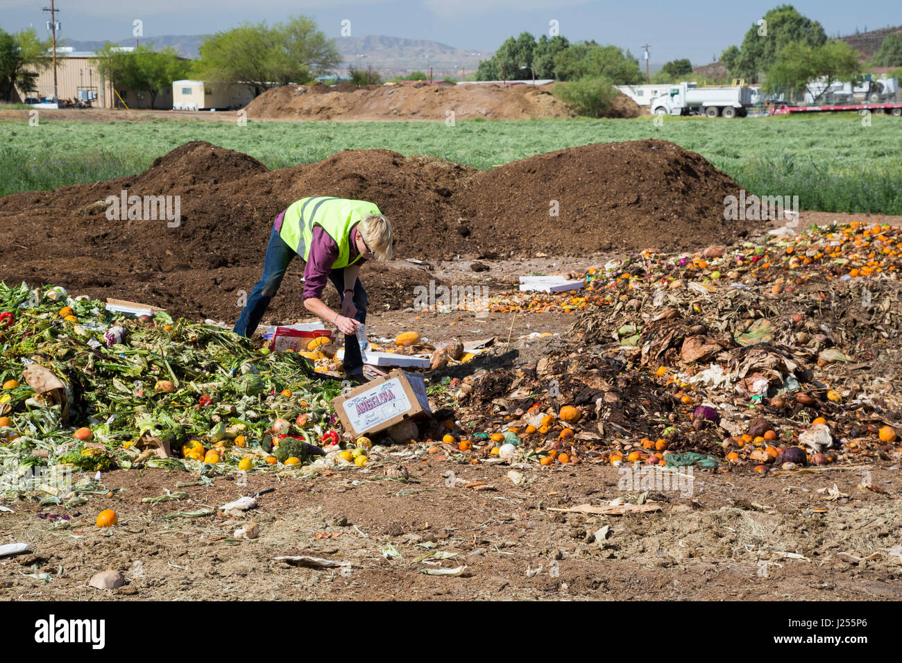 Tucson, Arizona - der Kompost-Katzen, eine Universität von Arizona studentische Organisation, Kompost Verschwendung von Lebensmitteln aus der Stadt Tucson von Landf umleiten Stockfoto