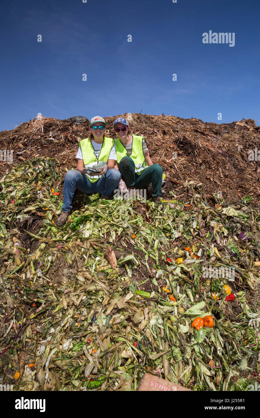 Tucson, Arizona - der Kompost-Katzen, eine Universität von Arizona studentische Organisation, Kompost Verschwendung von Lebensmitteln aus der Stadt Tucson von Landf umleiten Stockfoto