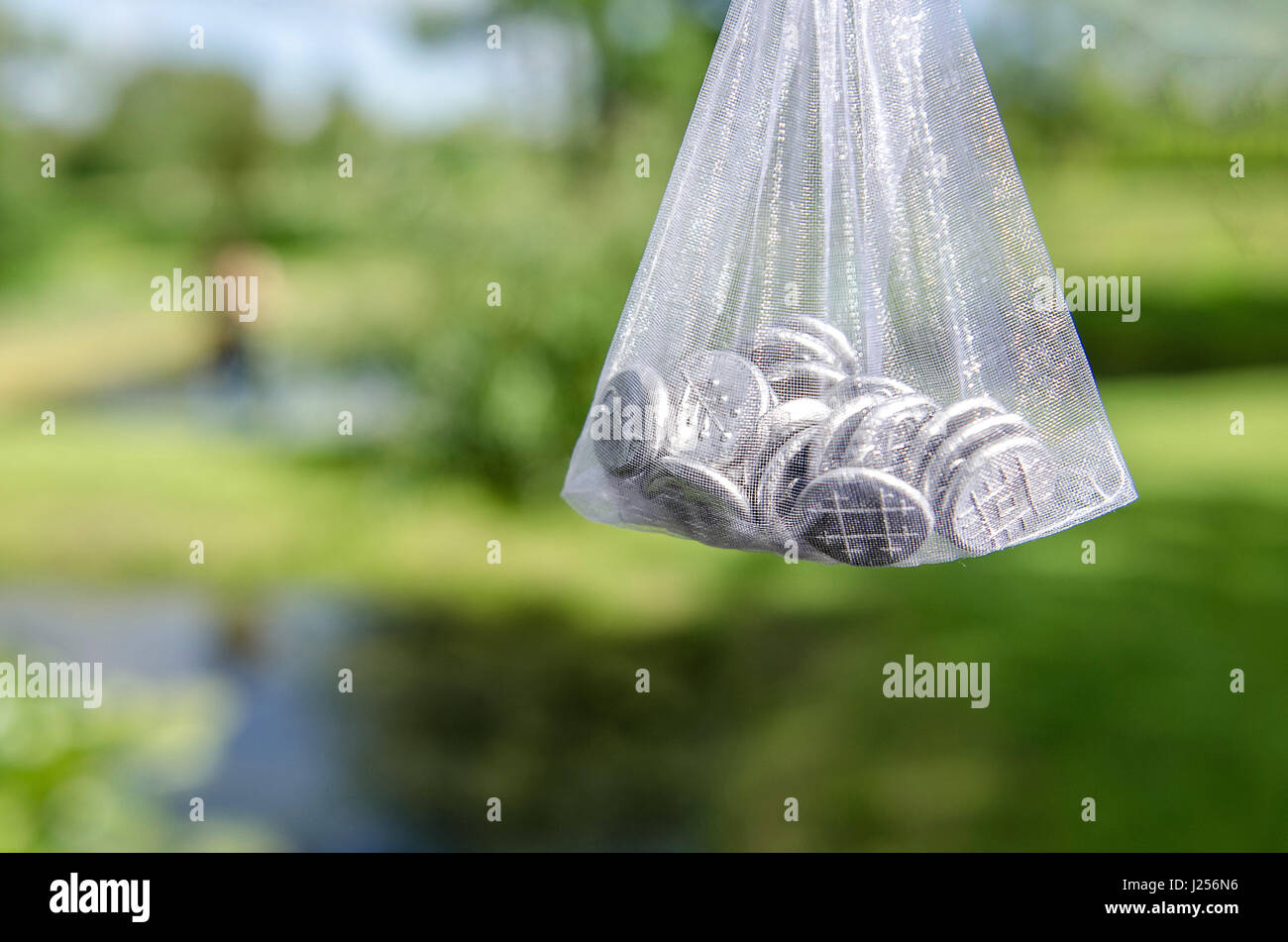 Tasche mit Hochzeitstag eingehende Souvenir Münzen. Stockfoto