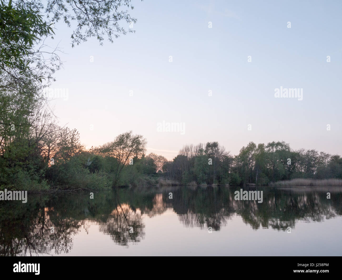 Sonnenuntergang über einem See als die Bäume um spiegeln sich im Wasser im Frühling auf dem Lande Stockfoto