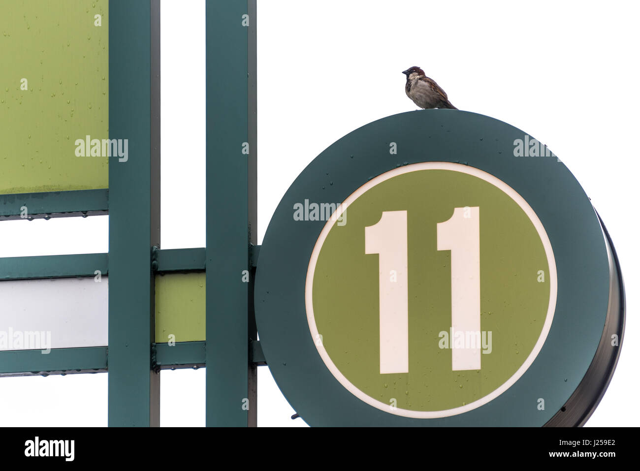 Vogel auf die Nummer 11 Parkplätze Zugang Schild am Atlantic Station in Midtown Atlanta, Georgia, USA. (USA) Stockfoto