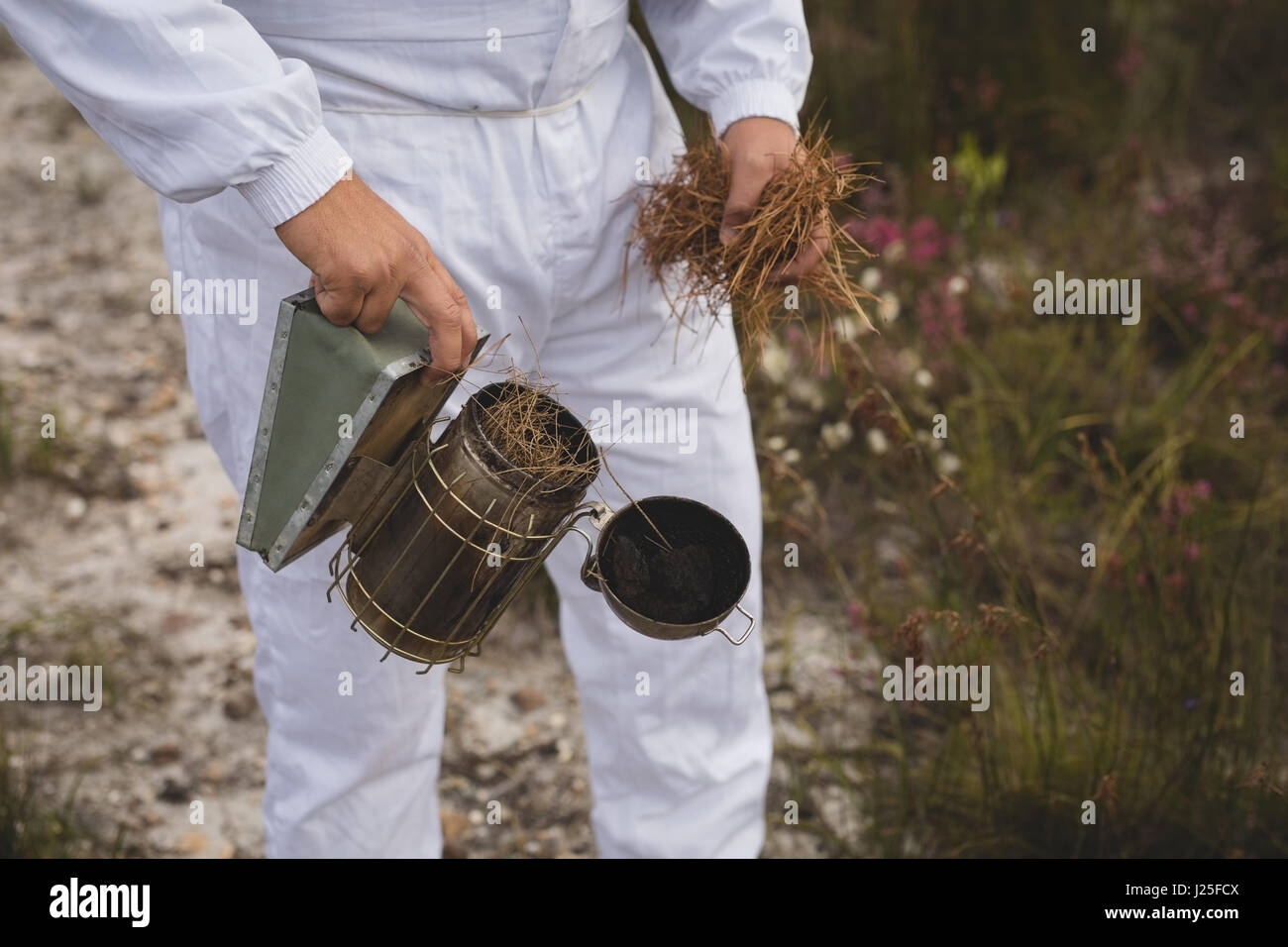 Mittelteil des männlichen Imker Trockenrasen in Biene Raucher im Feld ausfüllen Stockfoto