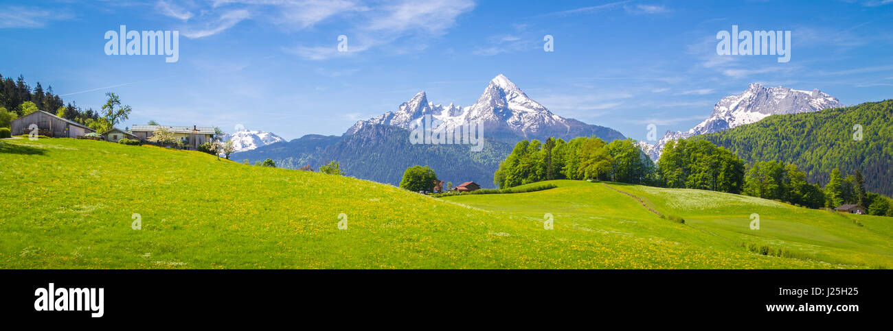 Panoramablick auf der idyllischen Bergwelt der Alpen mit frischen grünen Wiesen in voller Blüte an einem schönen sonnigen Tag im Frühling, Nationalpark Berchte Stockfoto