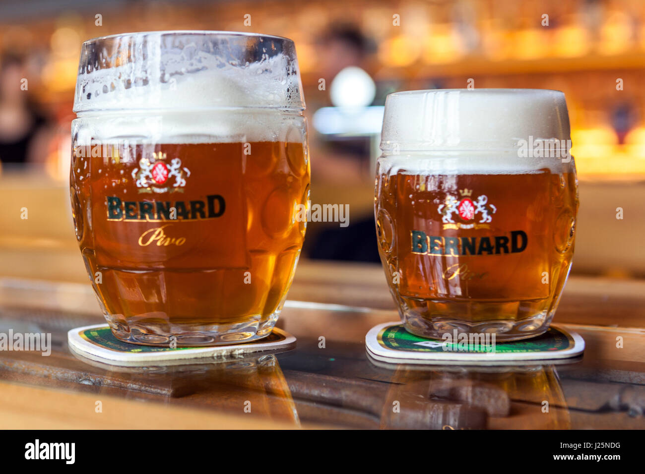 Tschechisches Bierglas aus der Brauerei Bernard Tschechische Republik Glas Bier Stockfoto