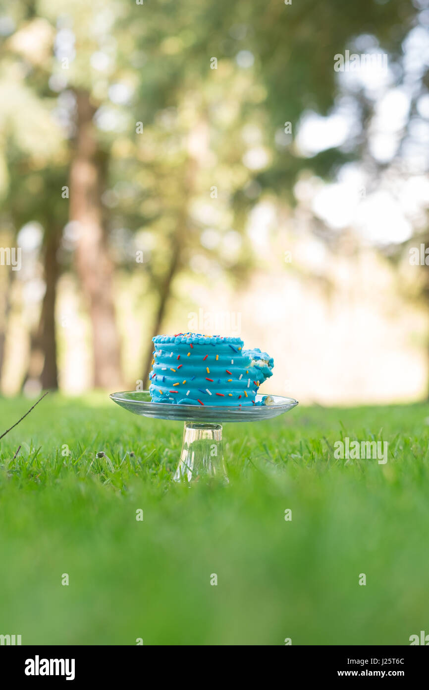 Blaue Kuchen Smash erster Geburtstag bleibt Stockfoto