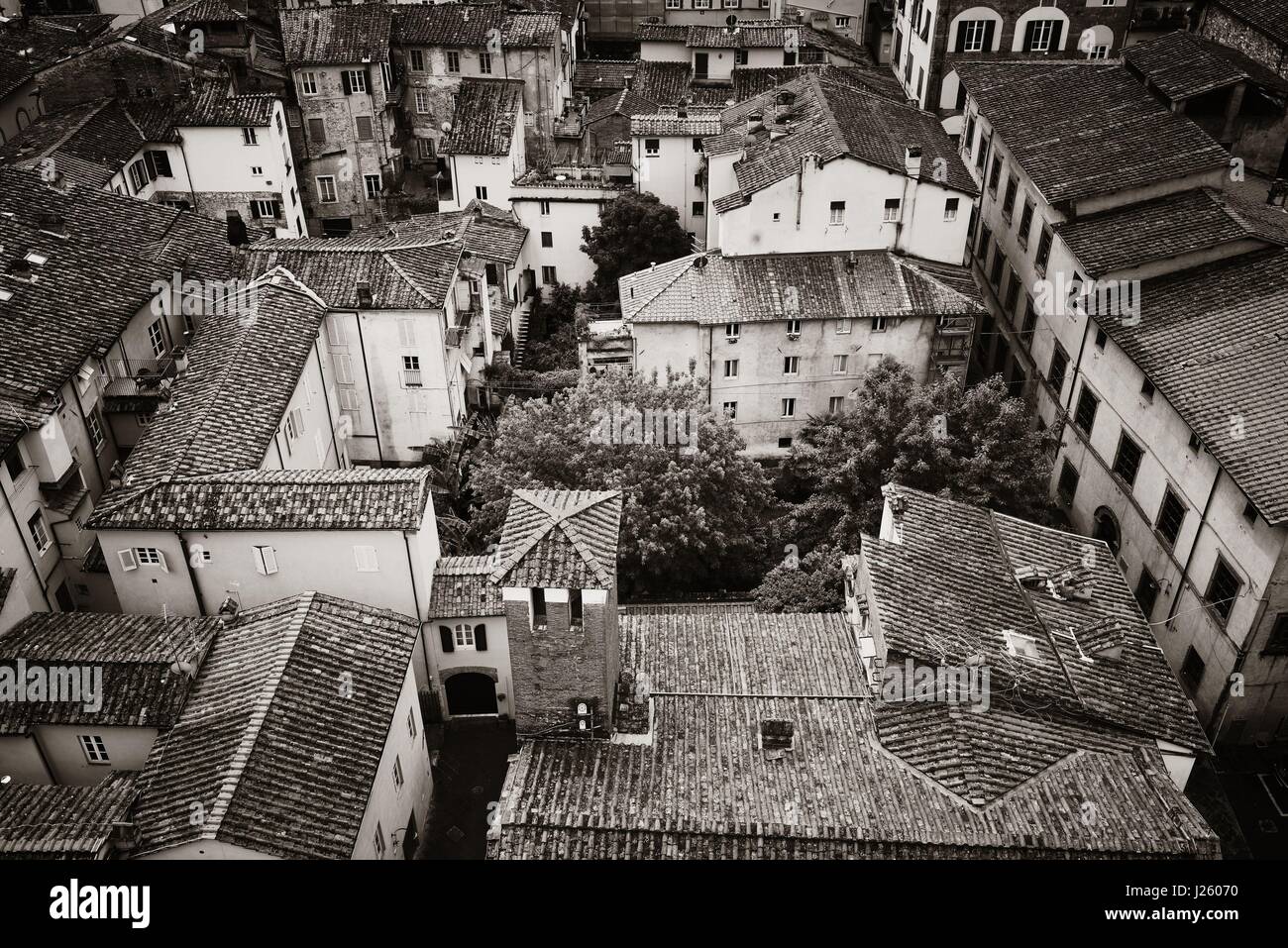 Von oben betrachtet Lucca in Italien. Stockfoto