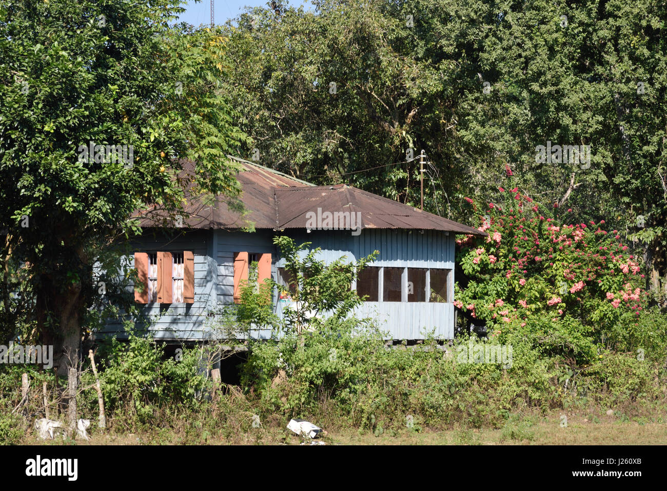 Stammes-Haus in Alipurduar, West-Bengalen, Indien Stockfoto