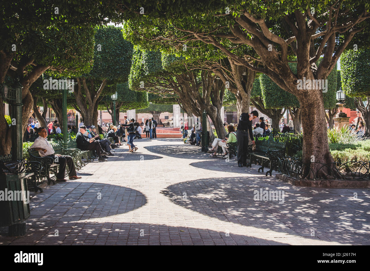 El Jardin, San Miguel de Allende Stockfoto