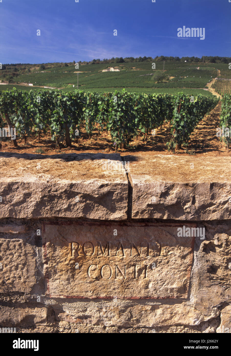 Romanée-Conti Bourgogne Weinberg Plakette in die Mauer des renommierten seltene und sehr teuer Burgund Wein, Vosne-Romanée, Côte d'Or, Frankreich. Stockfoto