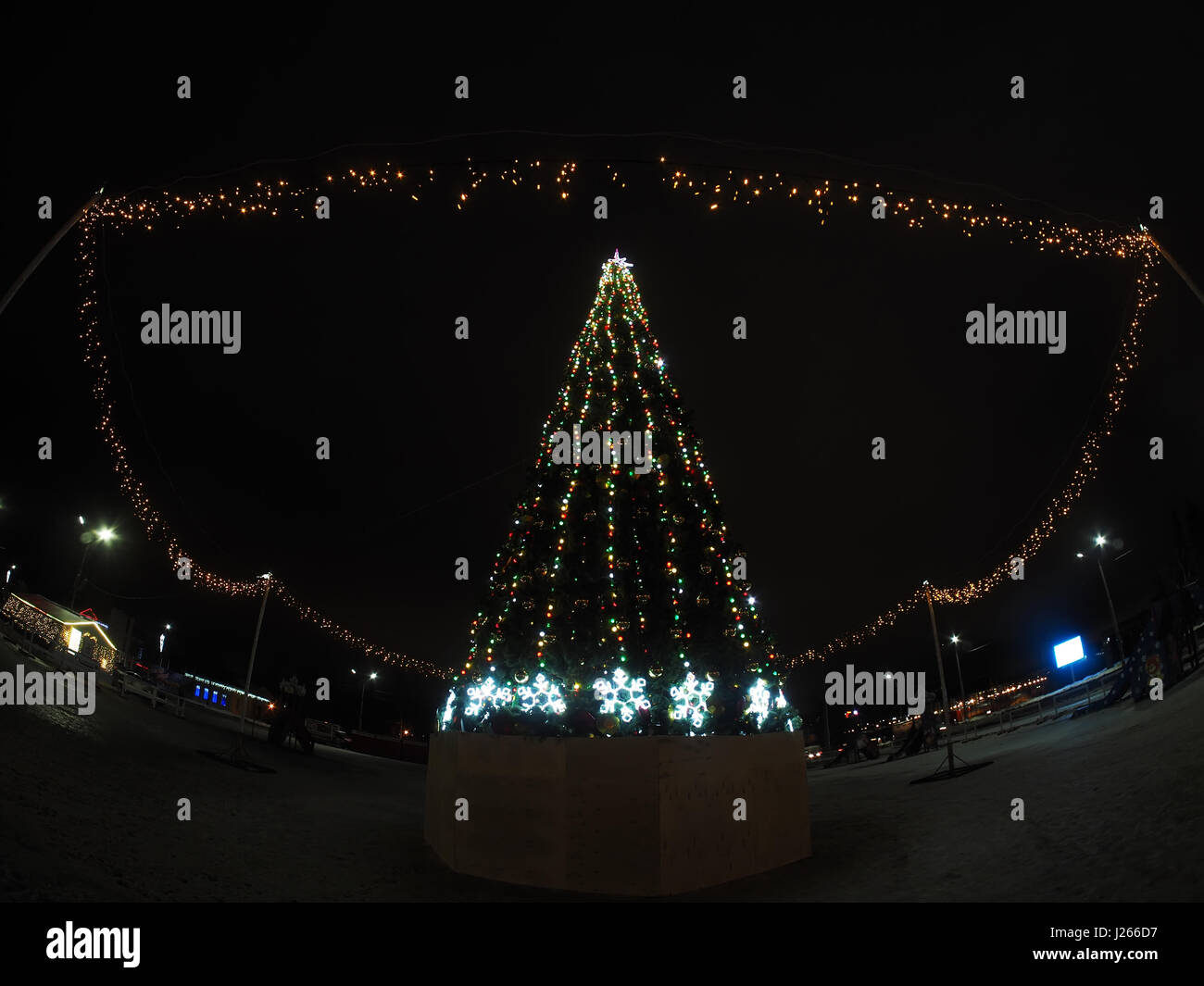 Weihnachtsbaum in der Stadt bei Nacht Stockfoto