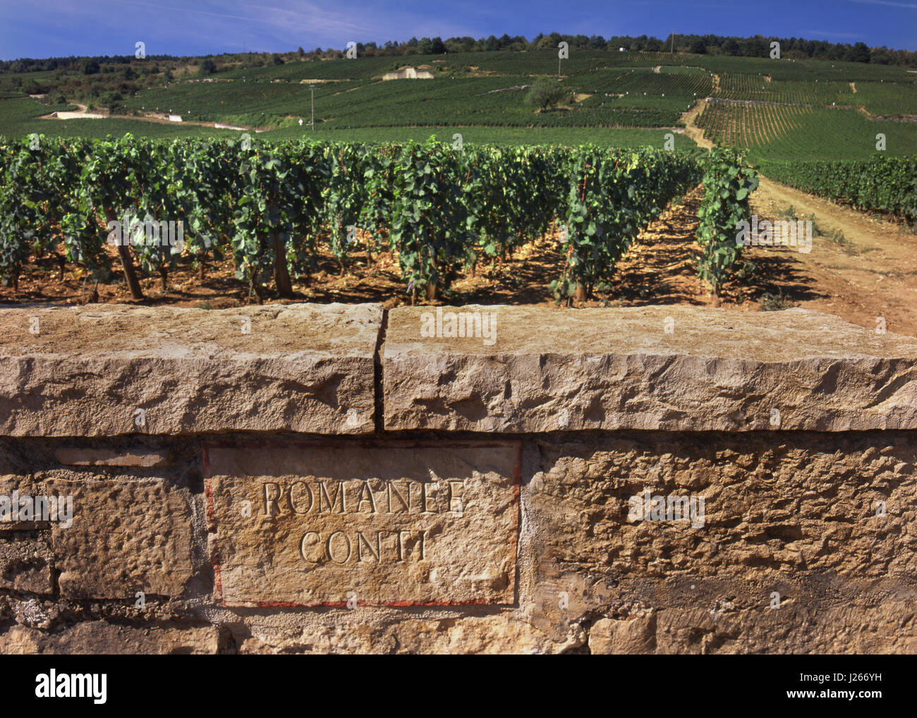 Steintafel des Weinbergs Romaneé-Conti an der Grenzmauer des weltberühmten Weinbergs Romaneé-Conti, Vosne-Romanée, Côte d'Or, Frankreich. Stockfoto