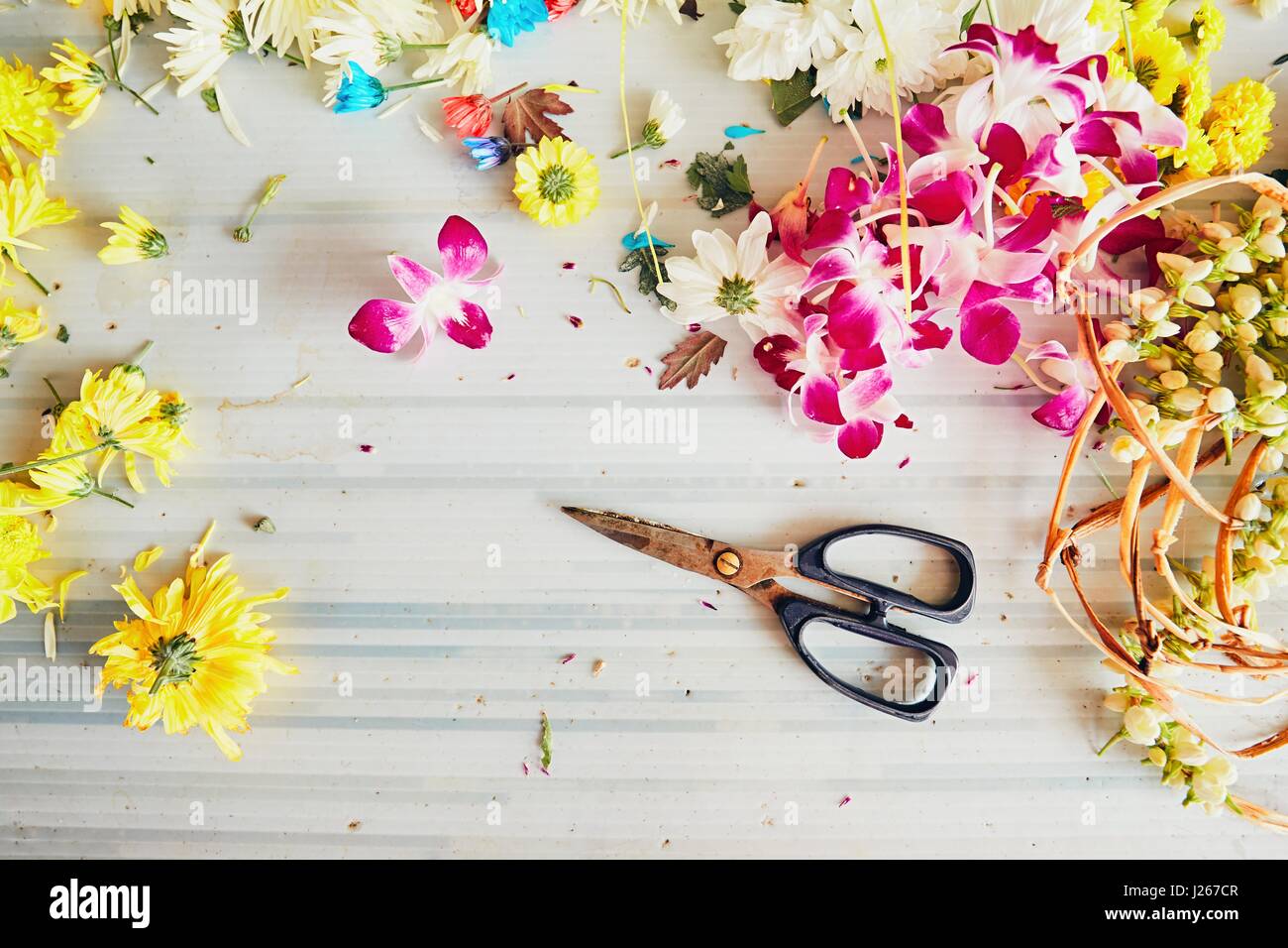 Schere im Blumenladen - Herstellung Blumengirlanden für hindu religiösen Zeremonie auf dem Tisch Stockfoto
