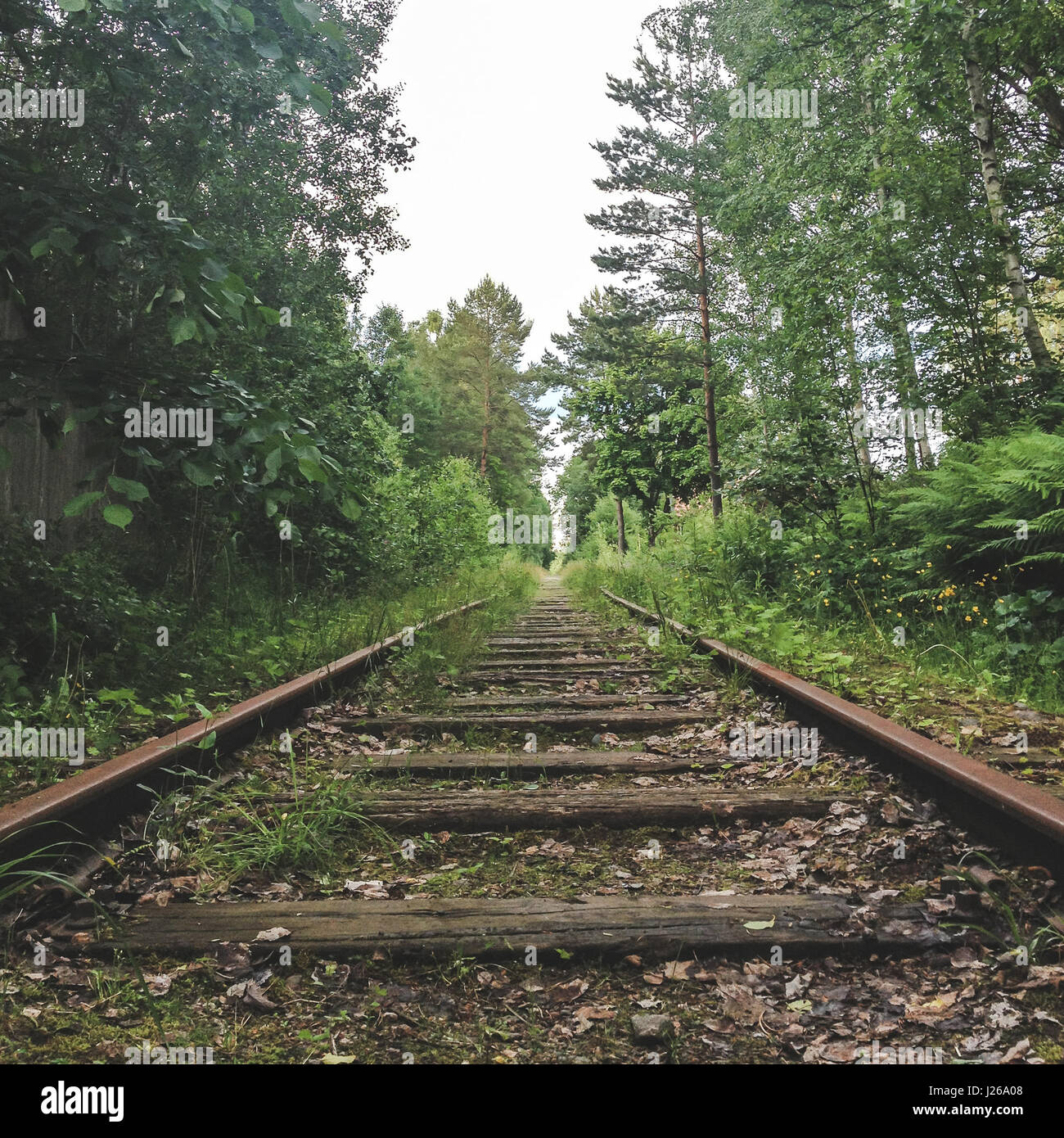 Verlassene Bahnstrecke, Schweden Stockfoto