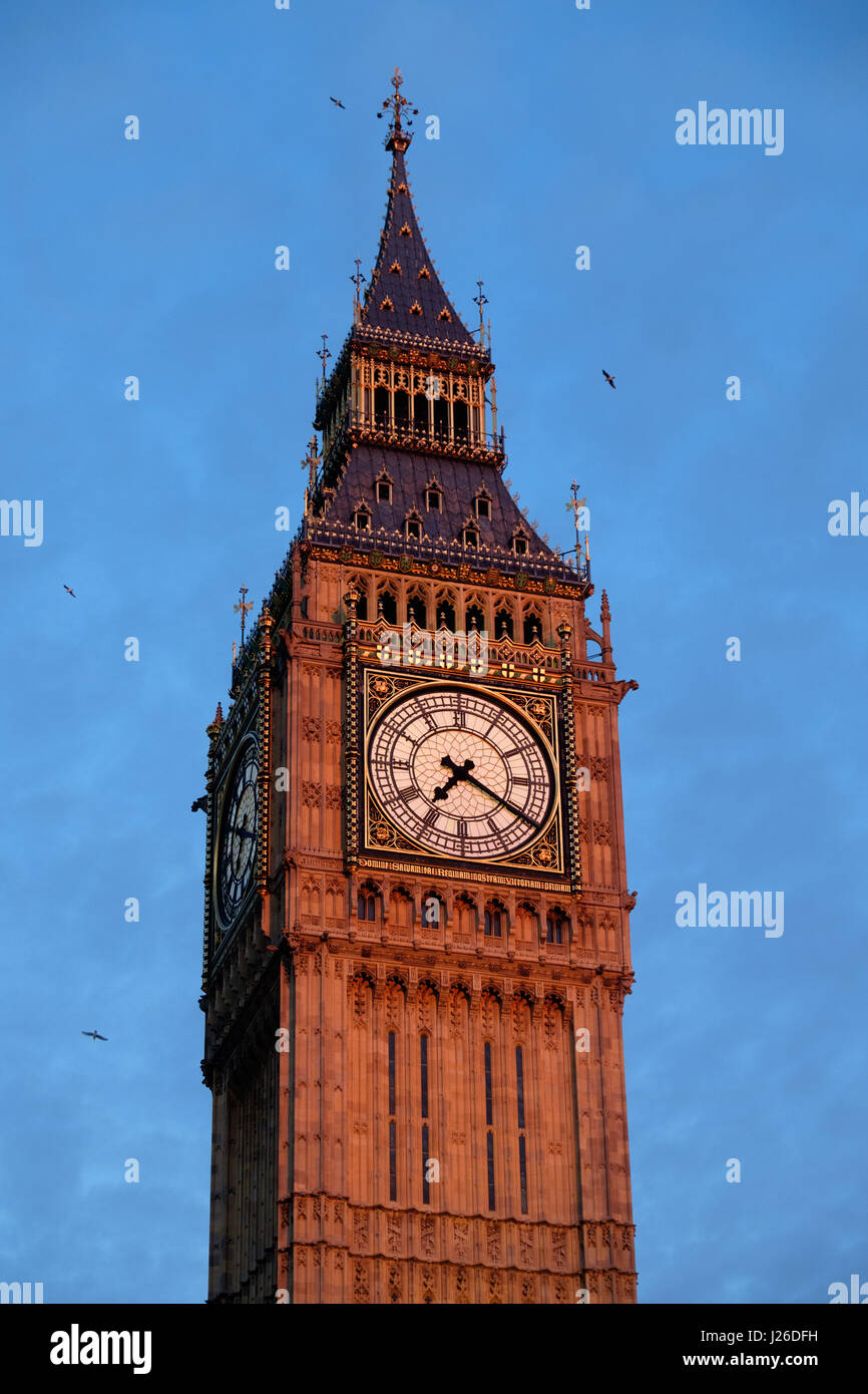 Big Ben, Houses of Parlament, London, England, Vereinigtes Königreich, Europa Stockfoto