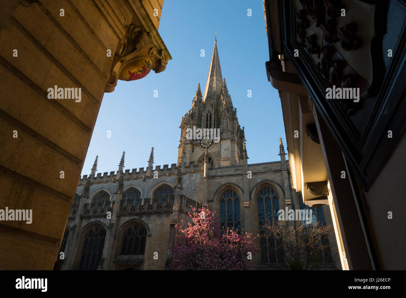 Universität von St Mary the Virgin, Oxford, Oxfordshire, England, Vereinigtes Königreich Stockfoto