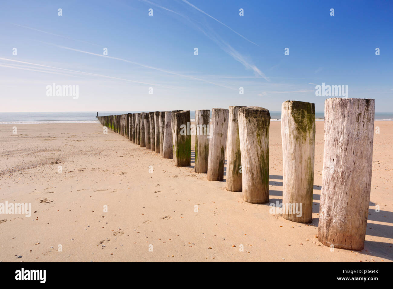 Eine hölzerne Buhne am Strand von Dishoek in Zeeland, Niederlande. Stockfoto