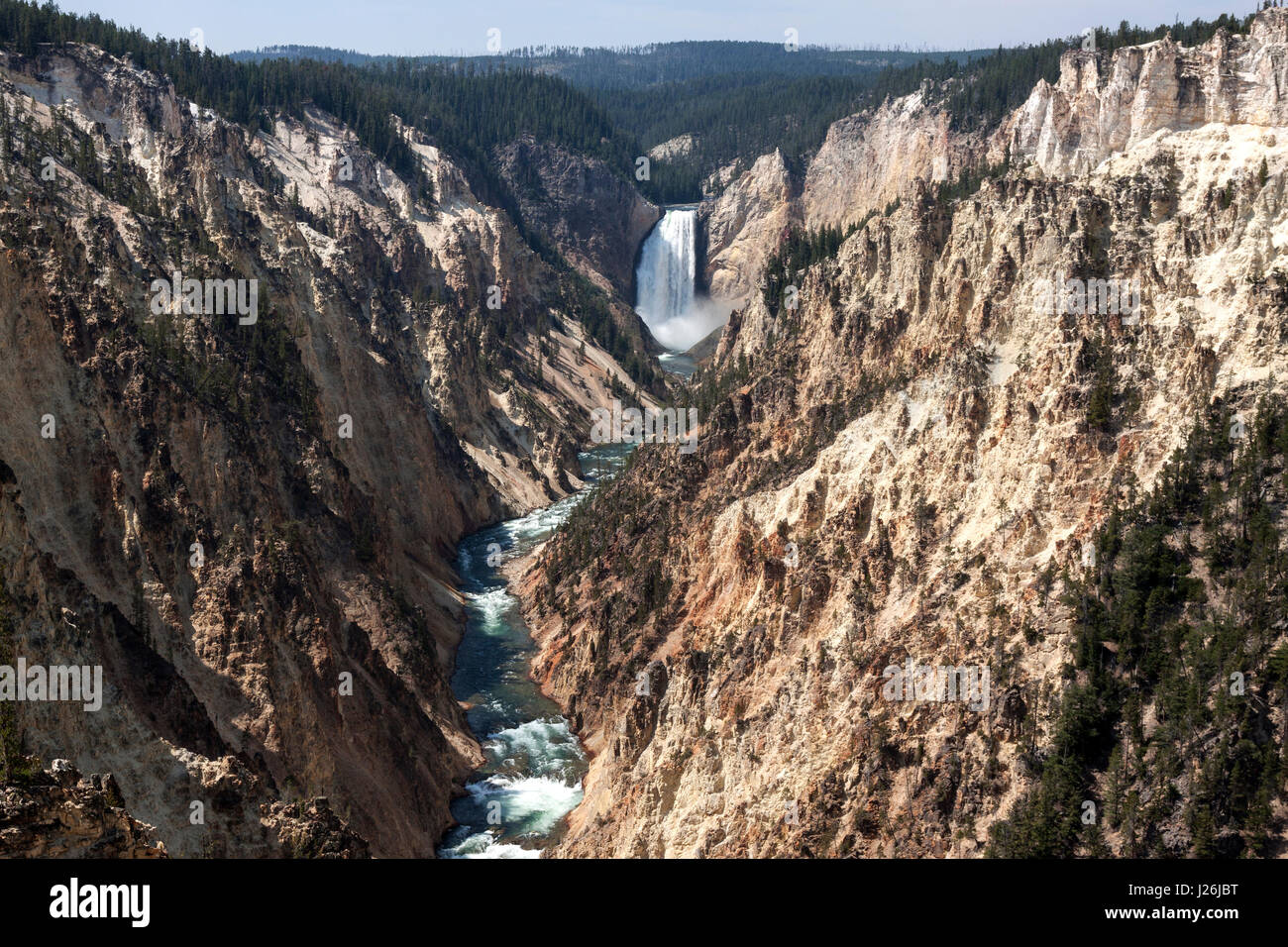 Blick vom Künstler-Point in den Grand Canyon des Yellowstone, Yellowstone River und Lower Falls des Yellowstone Stockfoto