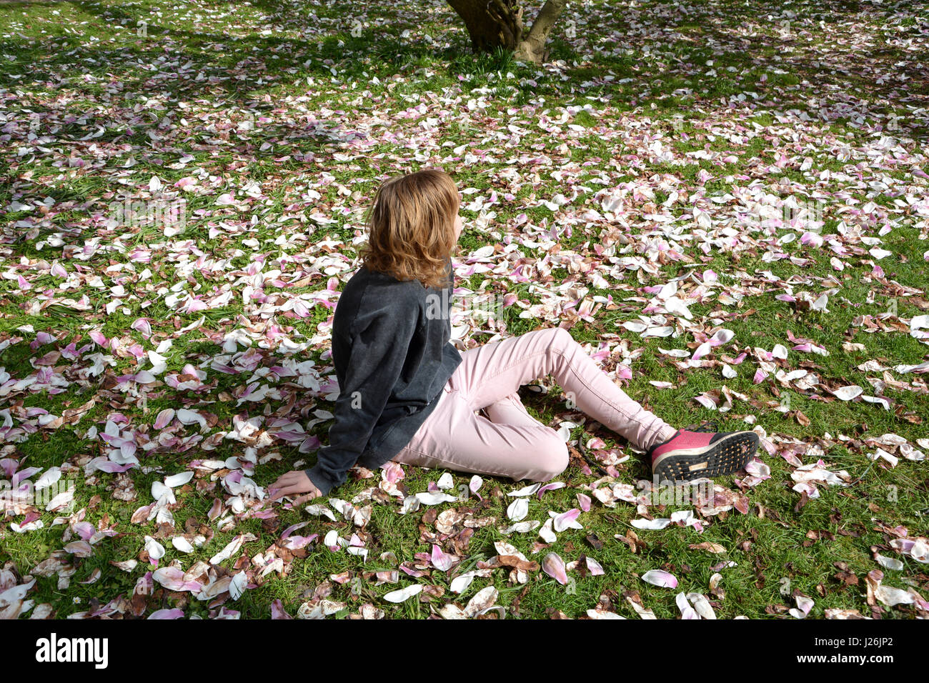 Mädchen sitzt auf einer Wiese voller Magnolienblüten (Magnoliaceae) und schaut nach hinten Stockfoto