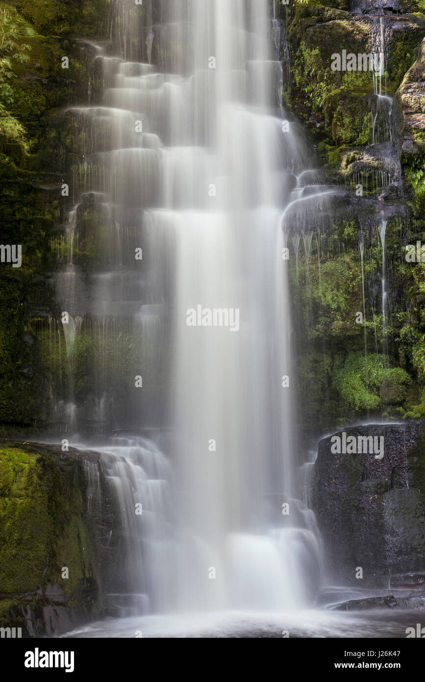 MC lehnt Wasserfall Catlins, Otago Region, Southland, Neuseeland Stockfoto