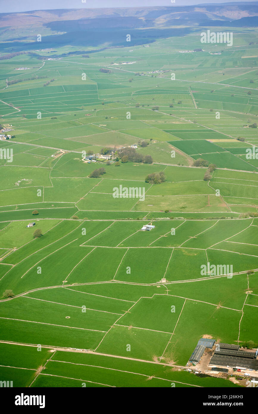 Feld-Muster, erstellt von Trockenmauern, Peak District, Derbyshire, Nord-England, UK Stockfoto