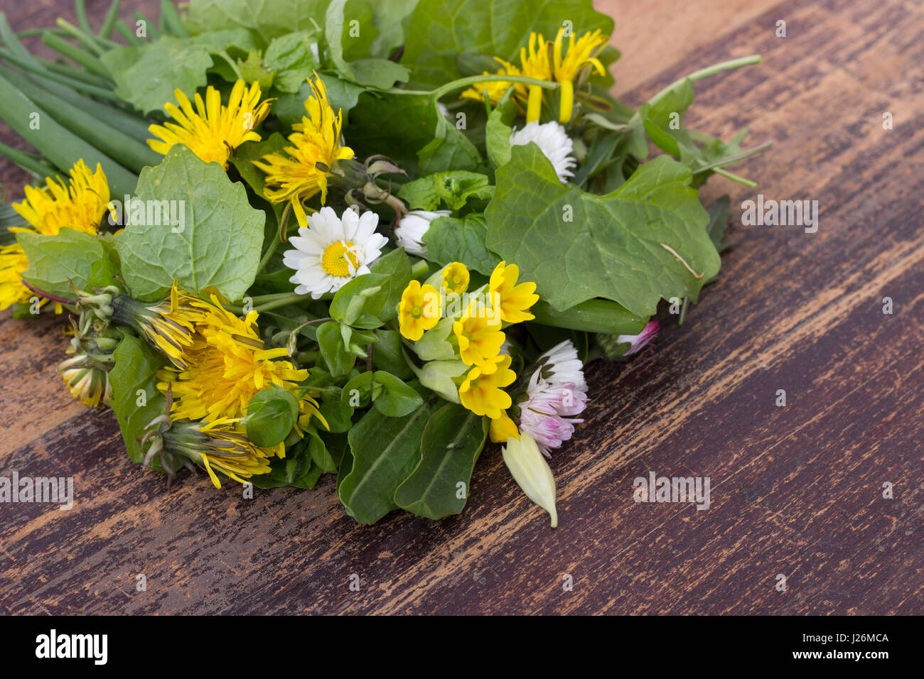 Verschiedene, frische Wildkräuter Stockfoto