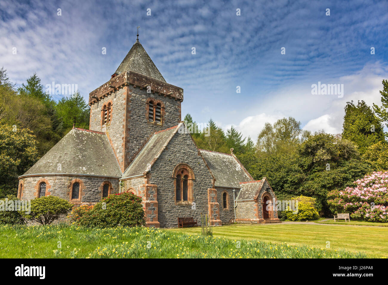 Southwick Pfarrkirche mit Narzissen und Rhododendron im Frühjahr. Viktorianische Periode Kirche im Dorf Caulkerbush, Dumfries und Galloway, Scotl Stockfoto