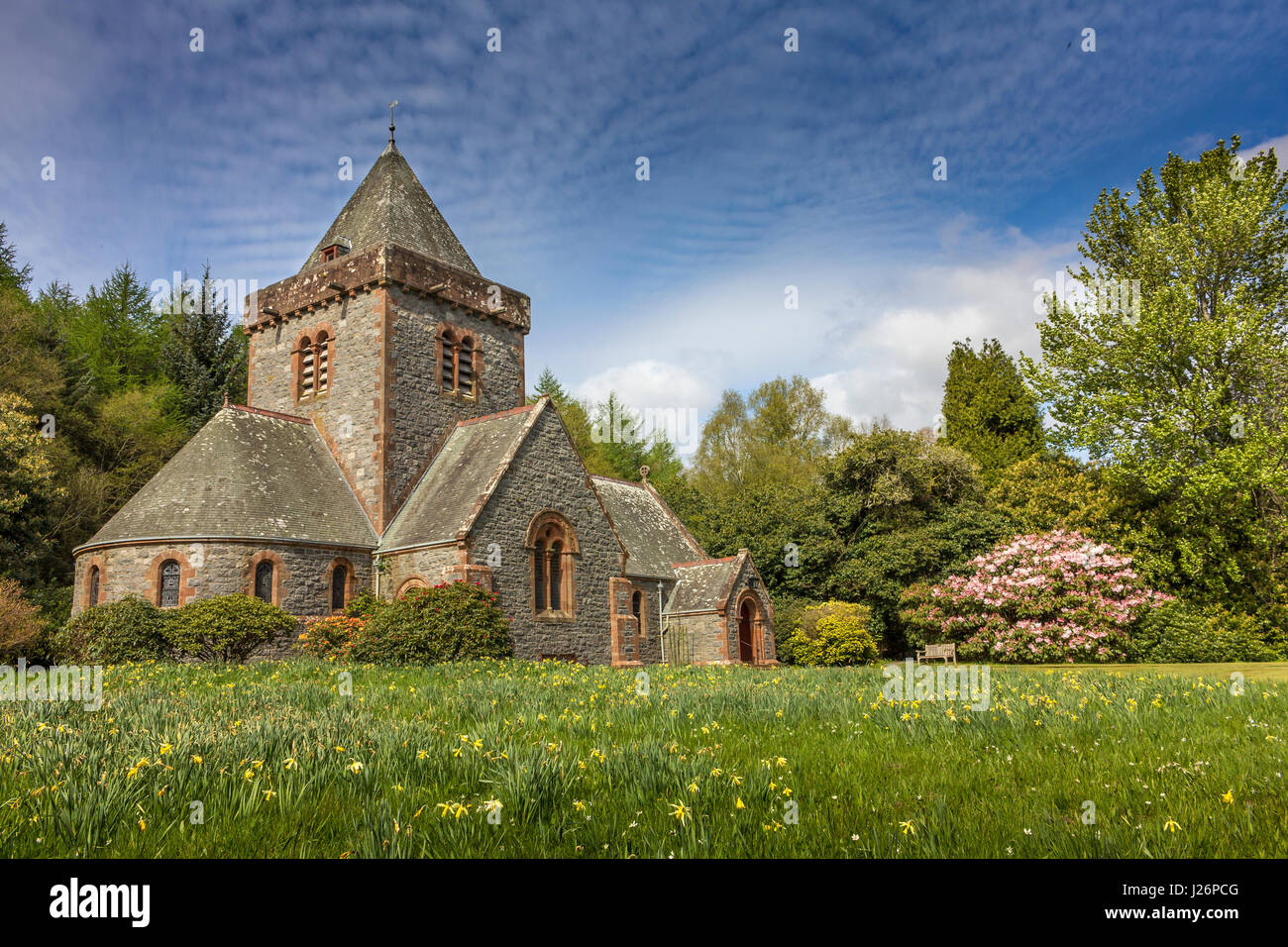 Southwick Pfarrkirche mit Narzissen und Rhododendron im Frühjahr - niedrigen Winkel Ansicht. Viktorianische Periode Kirche im Dorf Caulkerbush, Dumfries ein Stockfoto