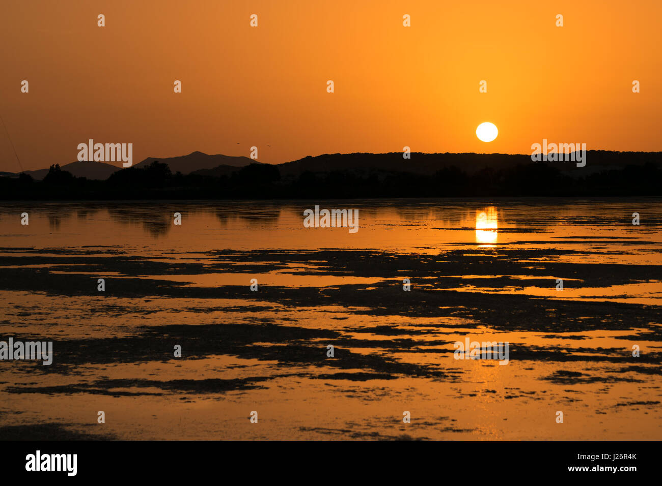 Sonnenuntergang auf dem Teich von rosa Flamingos in Chia, Sardinien, Italien. Stockfoto