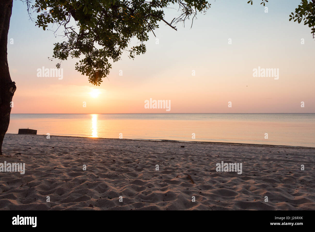 Sonnenuntergang in der Tapajos River, in den Amazonas-Regenwald, Alter Do Chao, Brasilien. Stockfoto