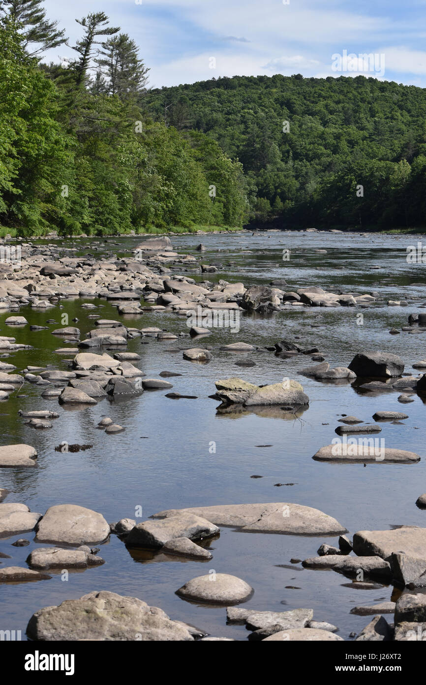 Fluss und rockbed Stockfoto