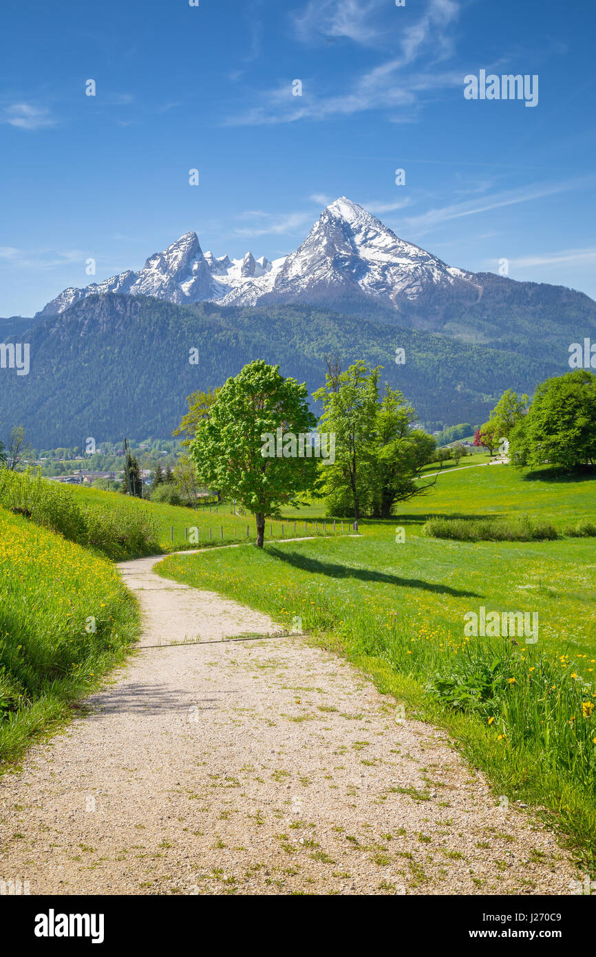 Schöne Aussicht auf die idyllische Bergwelt der Alpen mit Wanderweg, frische grüne Almwiesen und schneebedeckte Bergspitzen in der staatlich Stockfoto