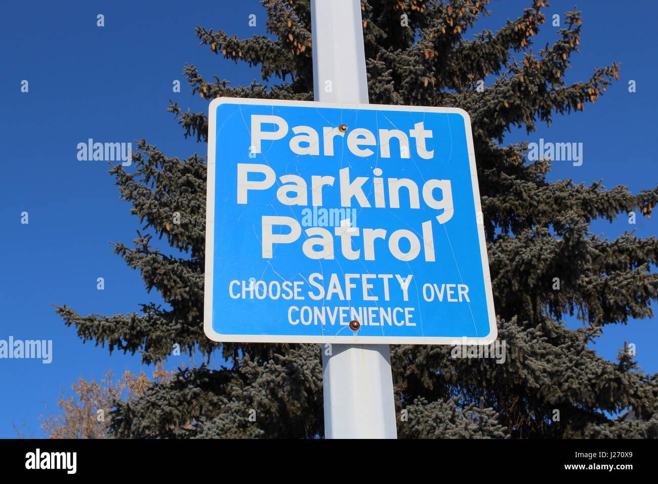 Übergeordneten Parkplatz Patrol Zeichen gegen Baum und blauer Himmel Stockfoto