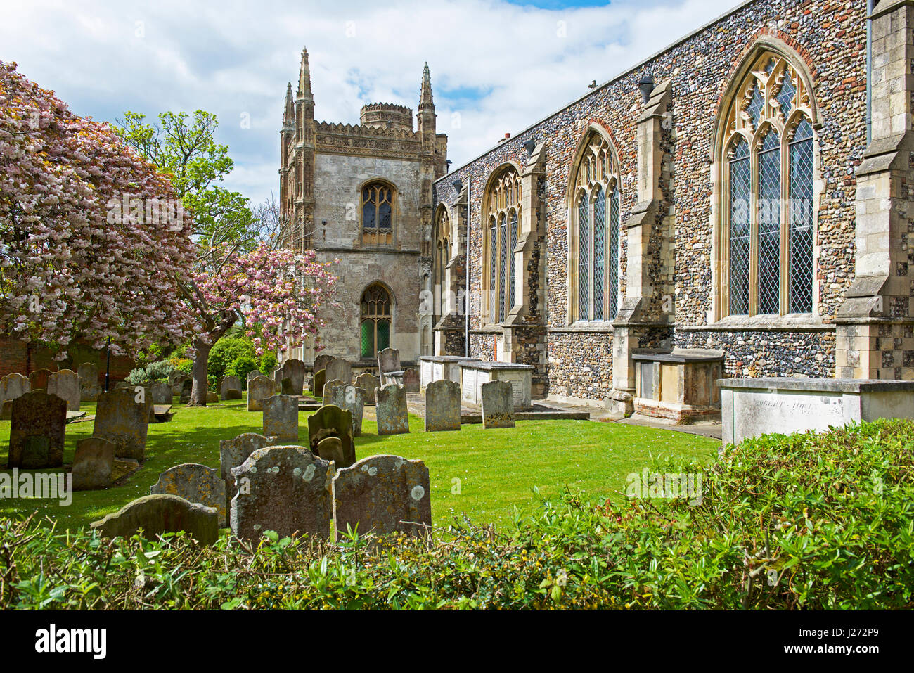 Beccles, Norfolk, England Großbritannien Stockfoto
