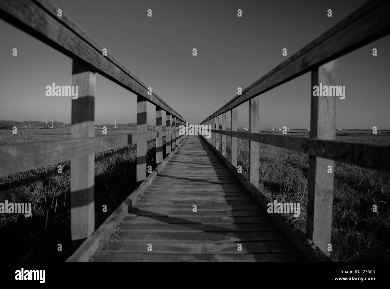 Promenade in Natur zu reservieren, & schwarz-weiß-Bild. Stockfoto