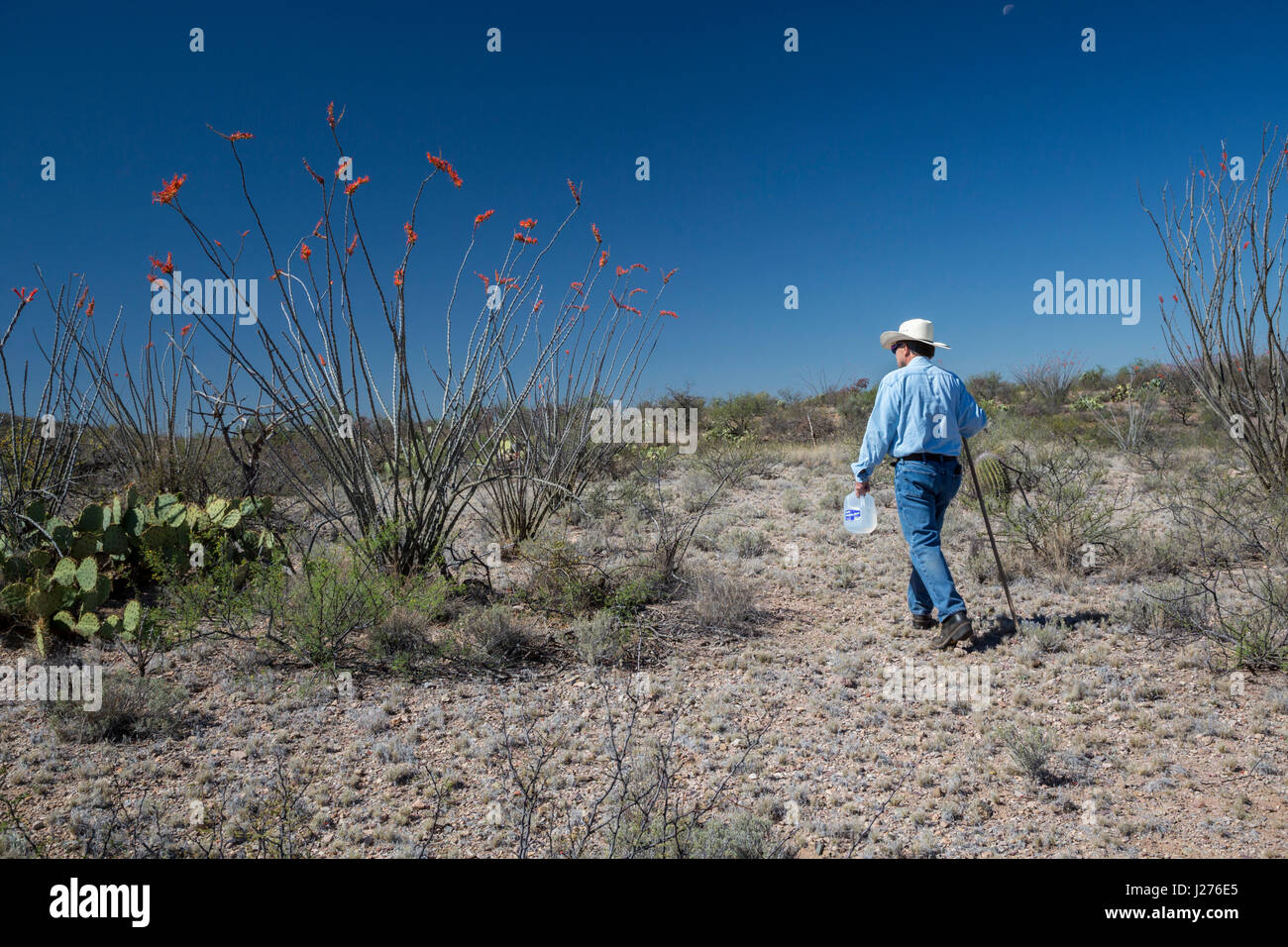 Tucson, Arizona - Pat O'Brien, ein Mitglied der Tucson Samariter, stellt Wasser in der Wüste von Arizona. Ziel der Gruppe ist es, den Tod einiger zu verhindern Stockfoto