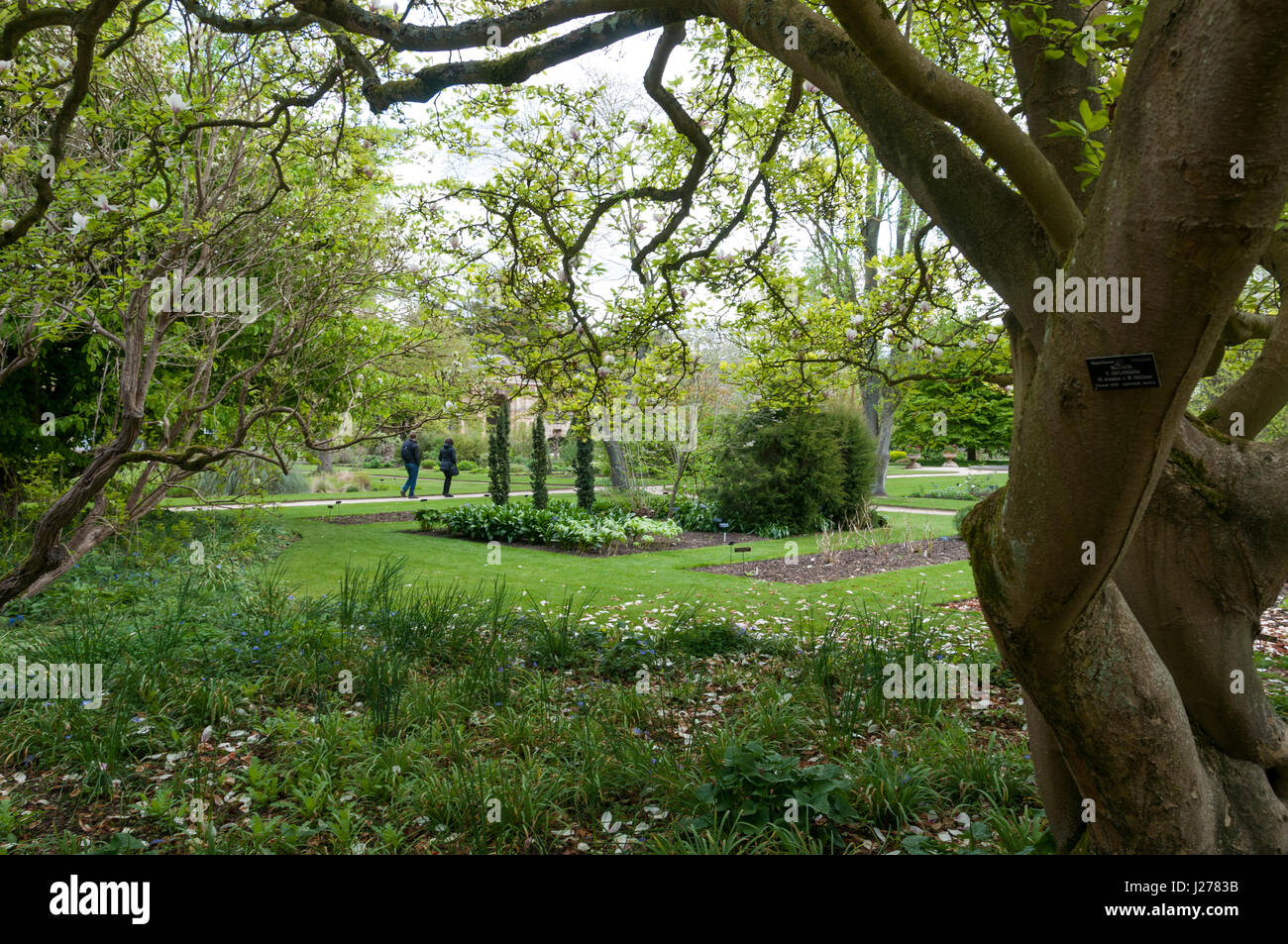 Botanischer Garten, Universtität Oxford, Oxford, Vereinigtes Königreich Stockfoto