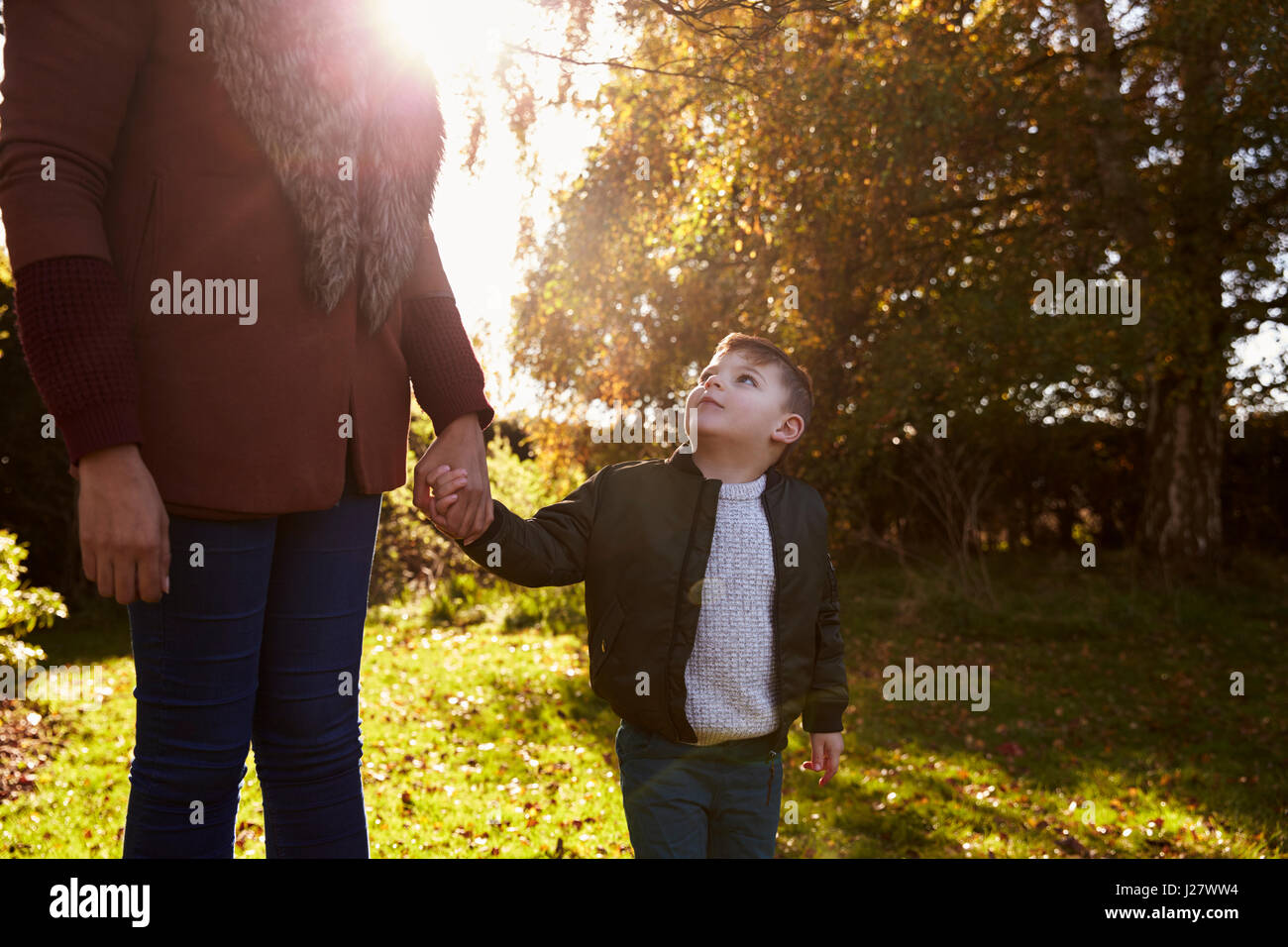 Junge an Mutters Hand auf Herbst-Spaziergang im Garten Stockfoto