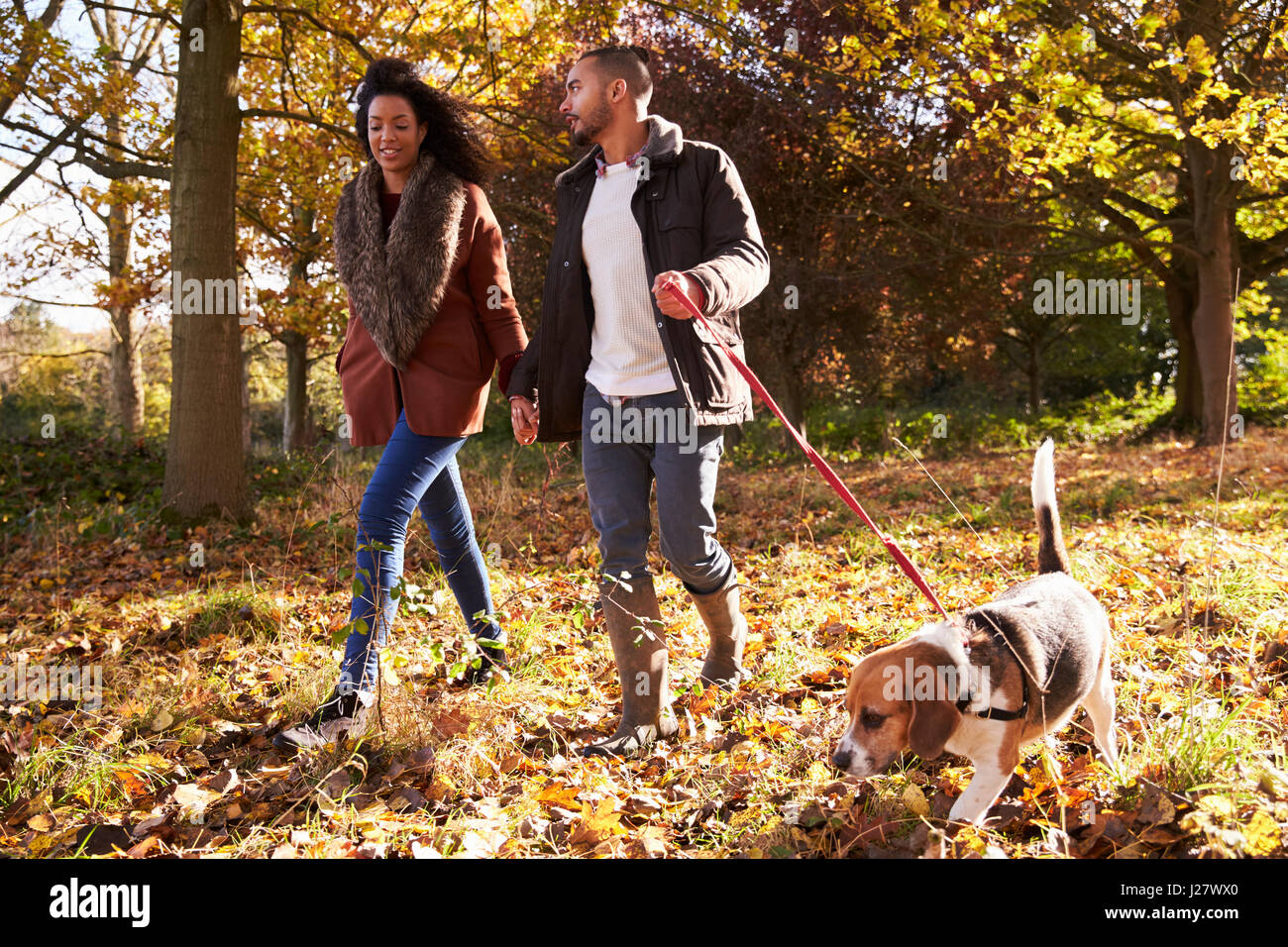 Paar Ausübung Hund im Herbst Wald Stockfoto