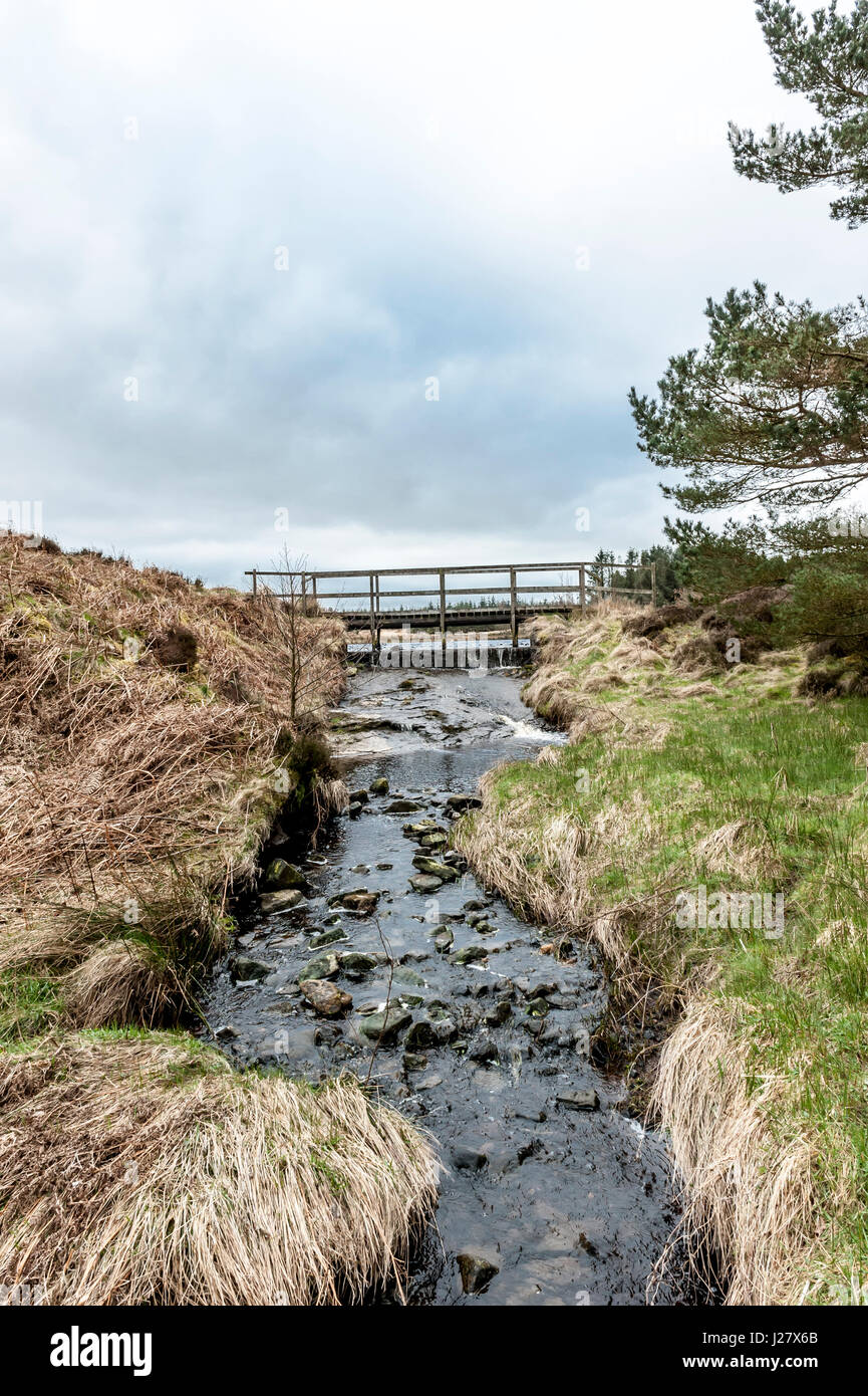 Sweethope Lough, Northumberland Stockfoto