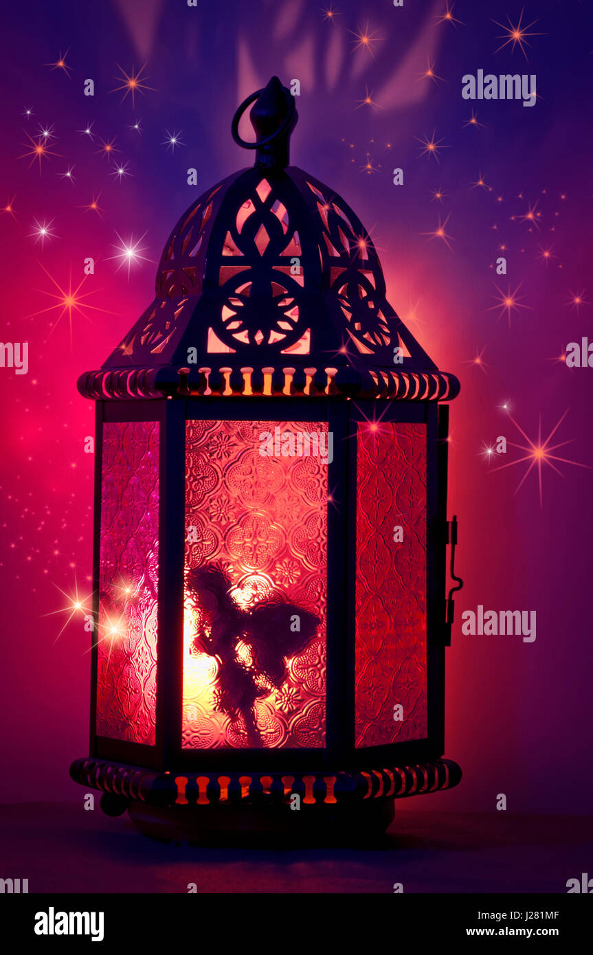 Rosa feenlaterne Fotos und Bildmaterial in hoher Auflösung Alamy